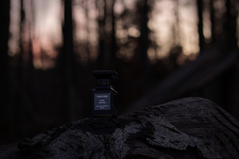 a candle sitting on top of a rock in the woods