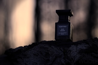 A bottle of Tom Ford Oud Wood eau de parfum sits on a rugged surface, with a soft, blurred background that suggests an outdoor setting. The image captures a moody, atmospheric lighting with shadows and a warm tone.