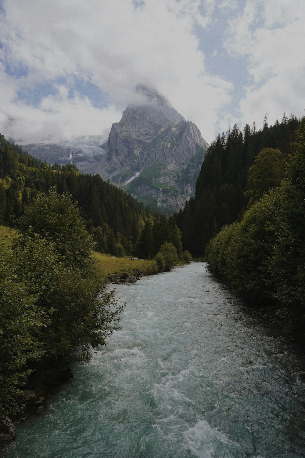 a river running through a lush green forest