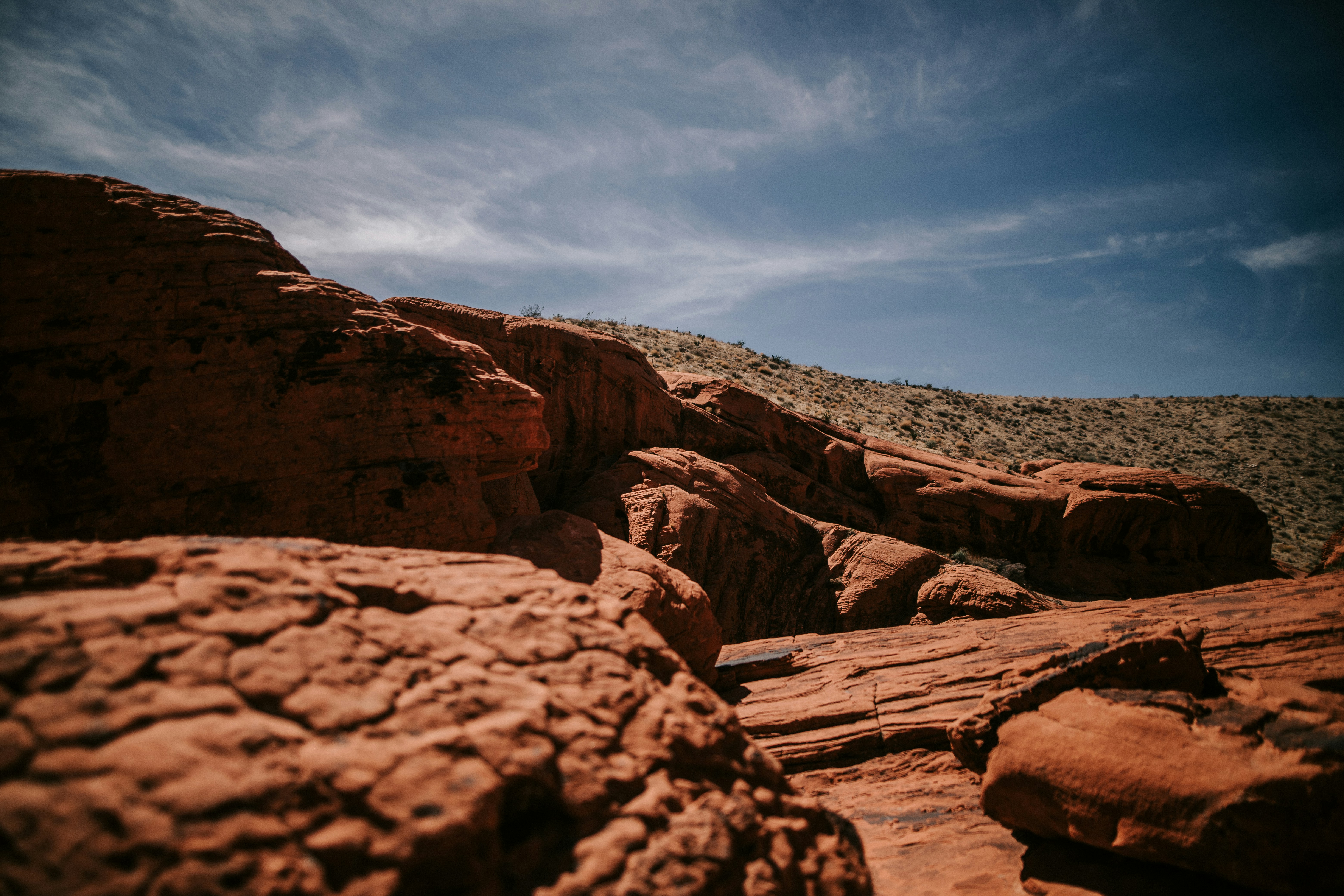 Photo by dillydallying