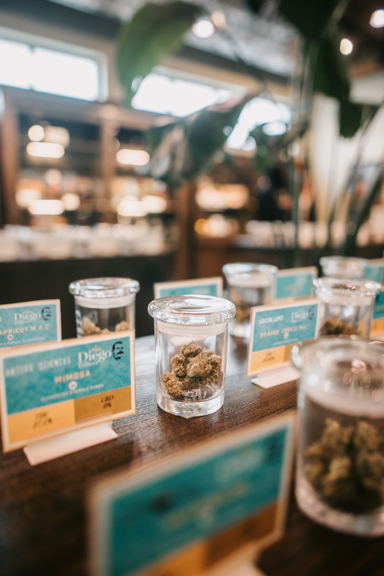 Cannabis product displayed in a glass container on a dispensary counter, tracked by package identifier at the point of sale