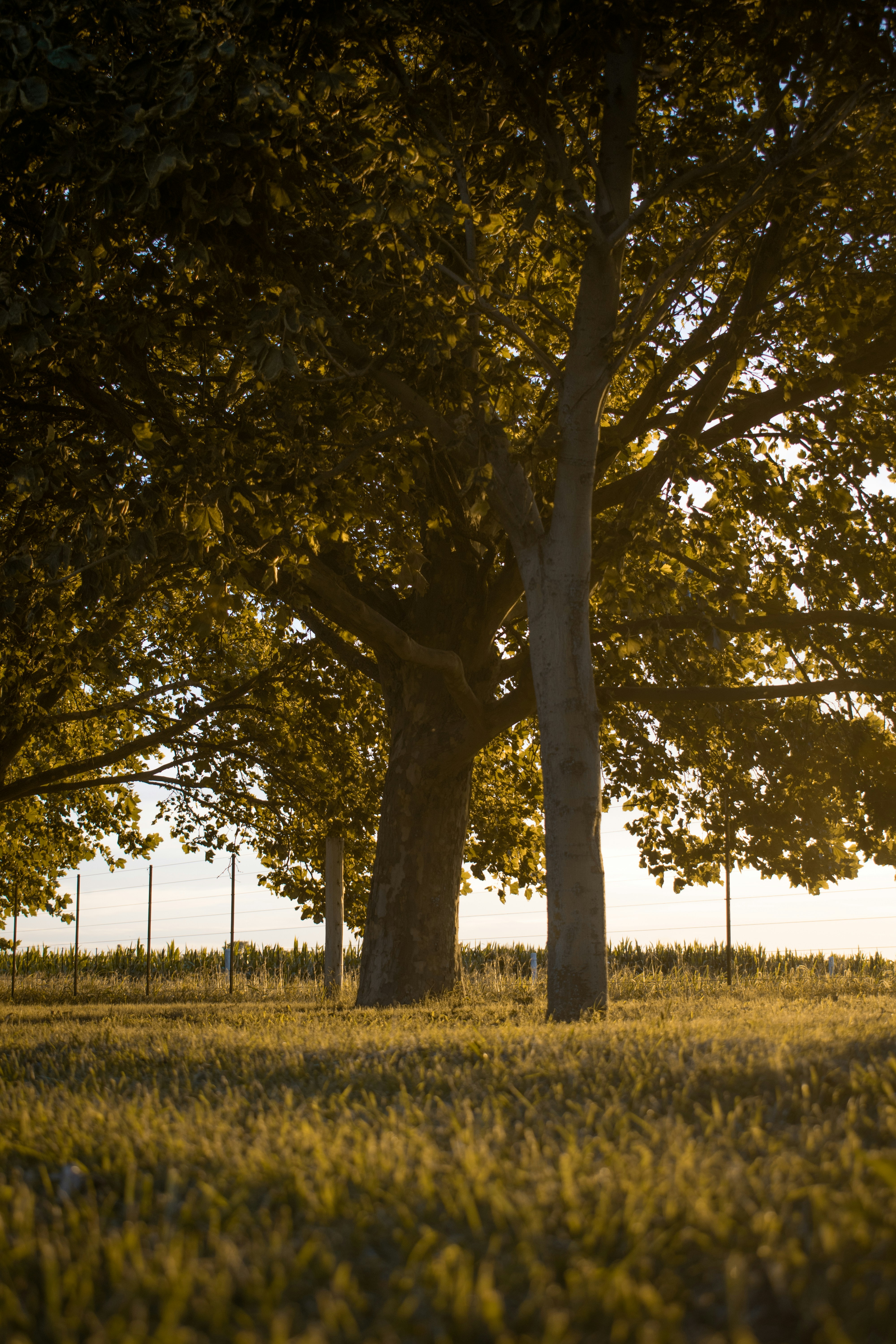 Photo by valenjphoto