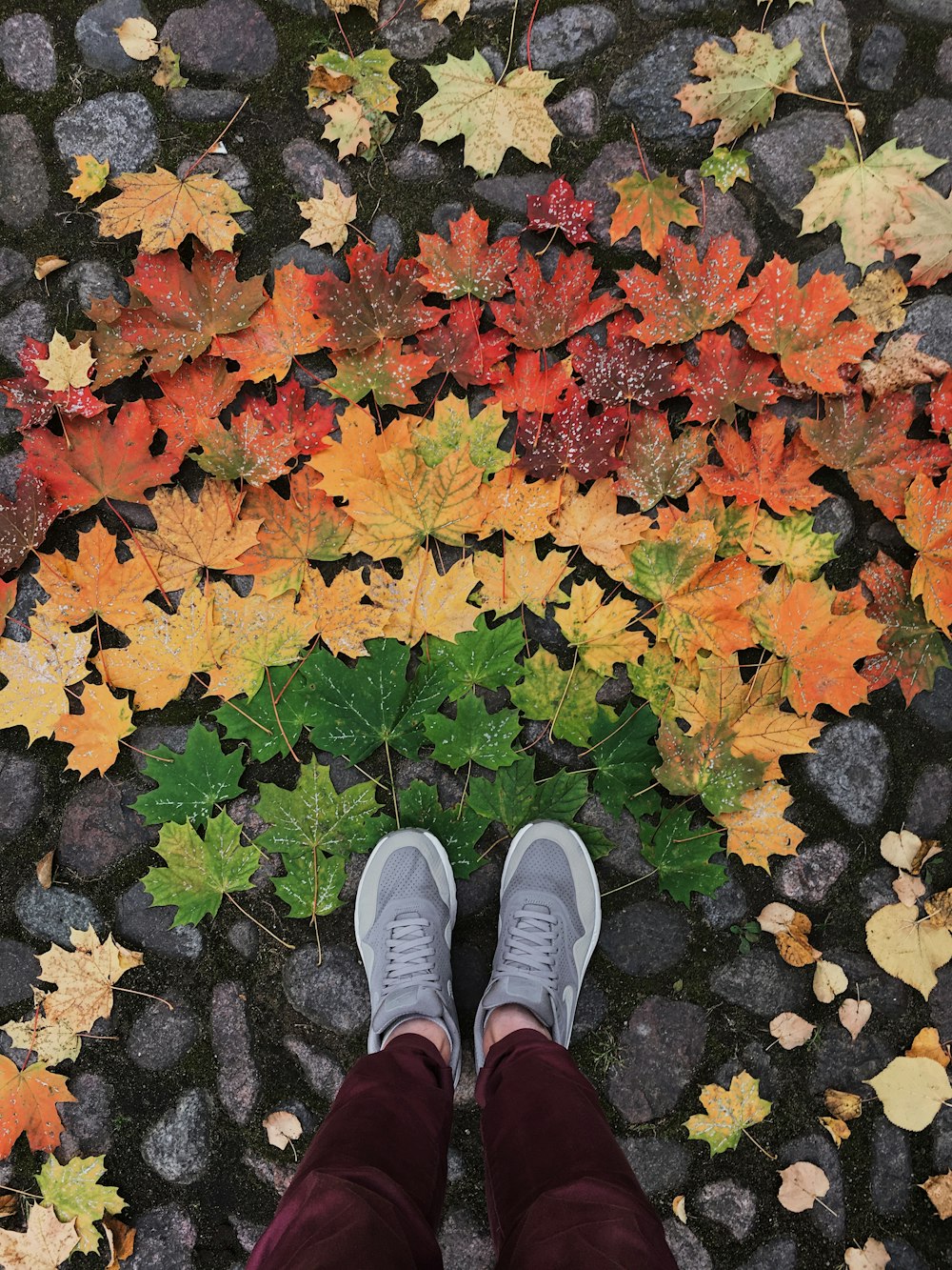 une personne debout devant un bouquet de feuilles