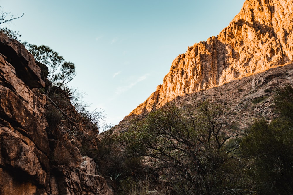 uma vista de uma montanha com árvores em primeiro plano