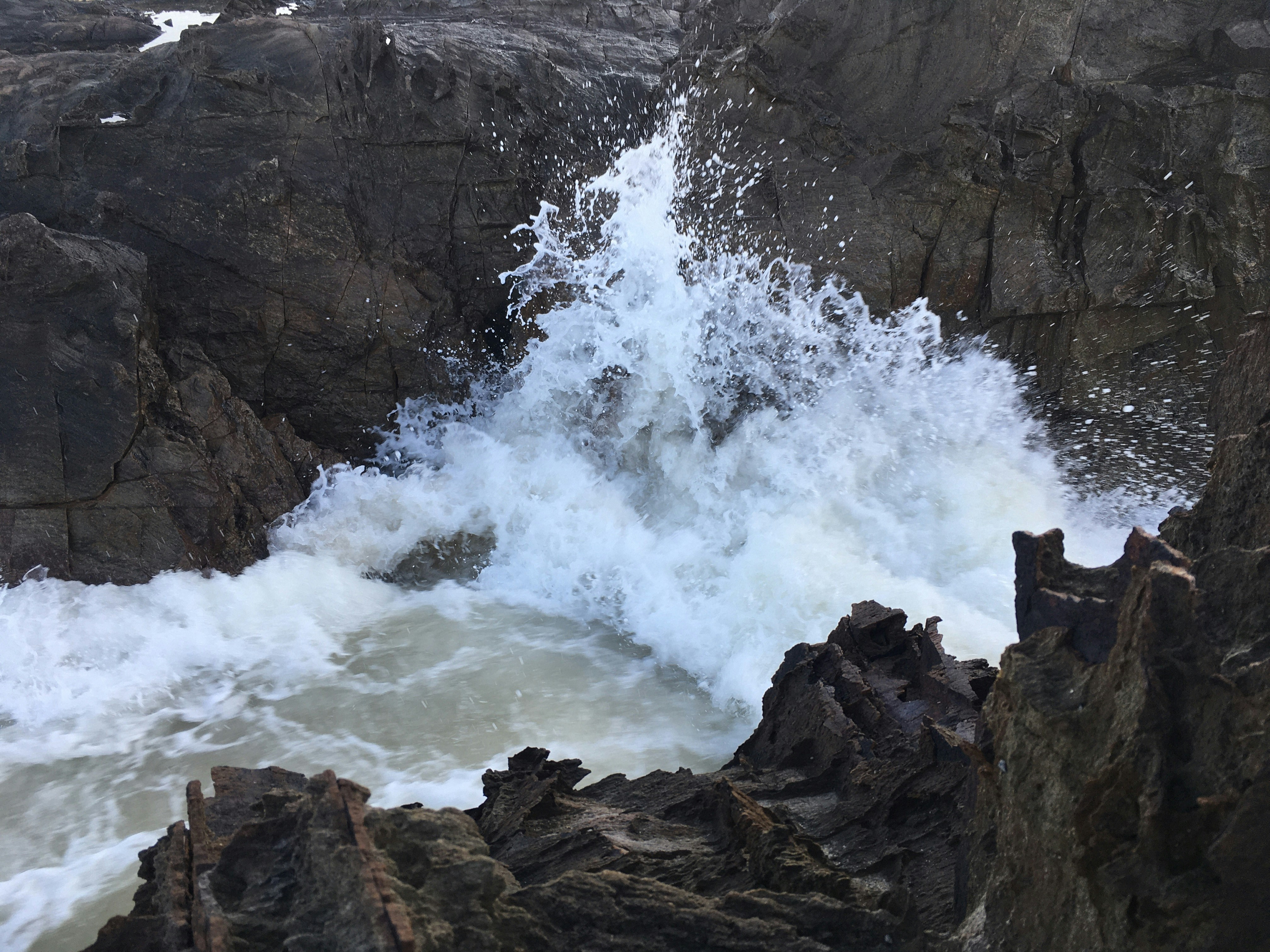 New Hope for Seizure Control in Tuberous Sclerosis