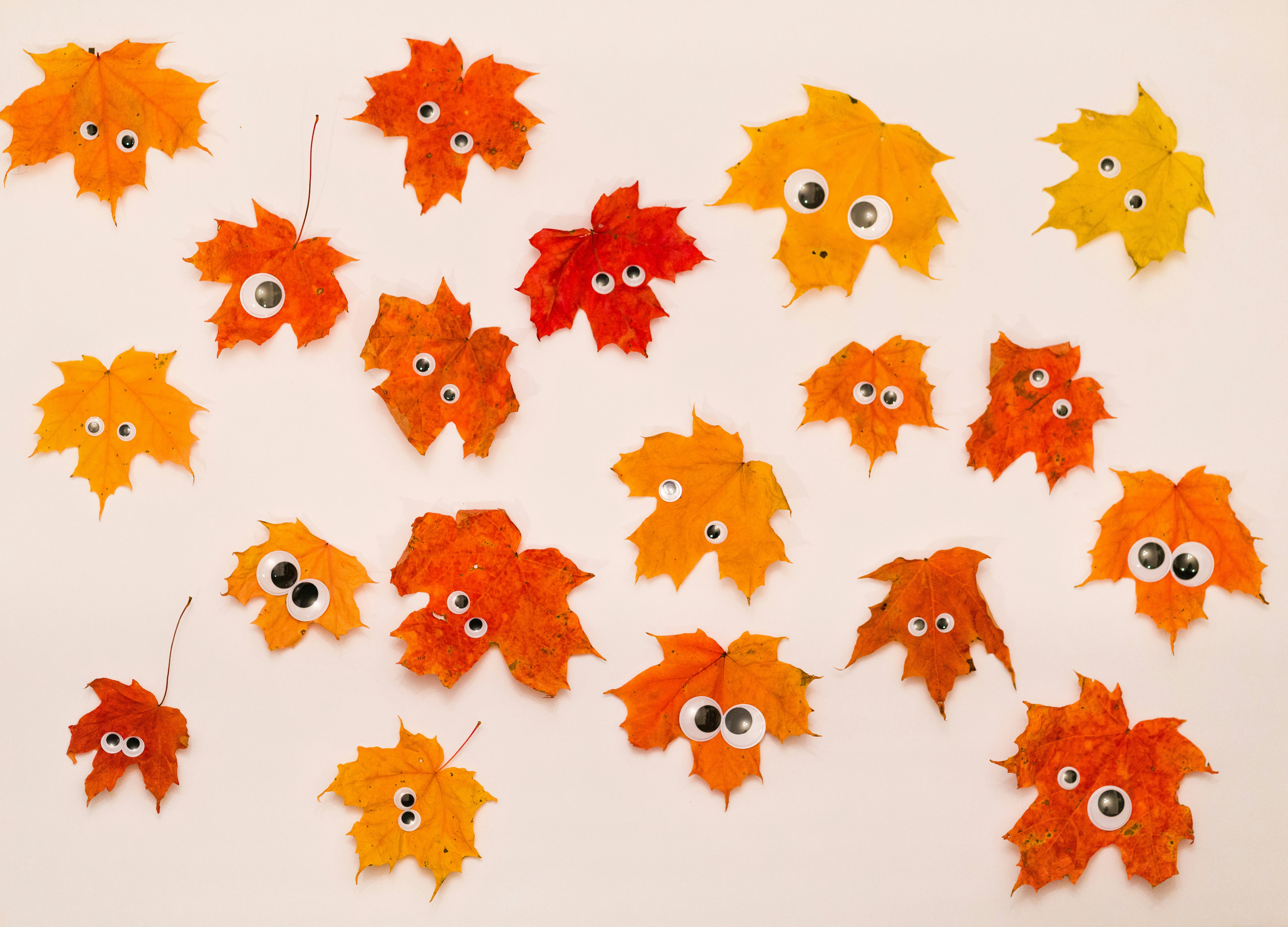fall crafts for adults and kids, wallpaper, Fall Crafts for Adults and Kids: Creative Autumn DIY Ideas 1