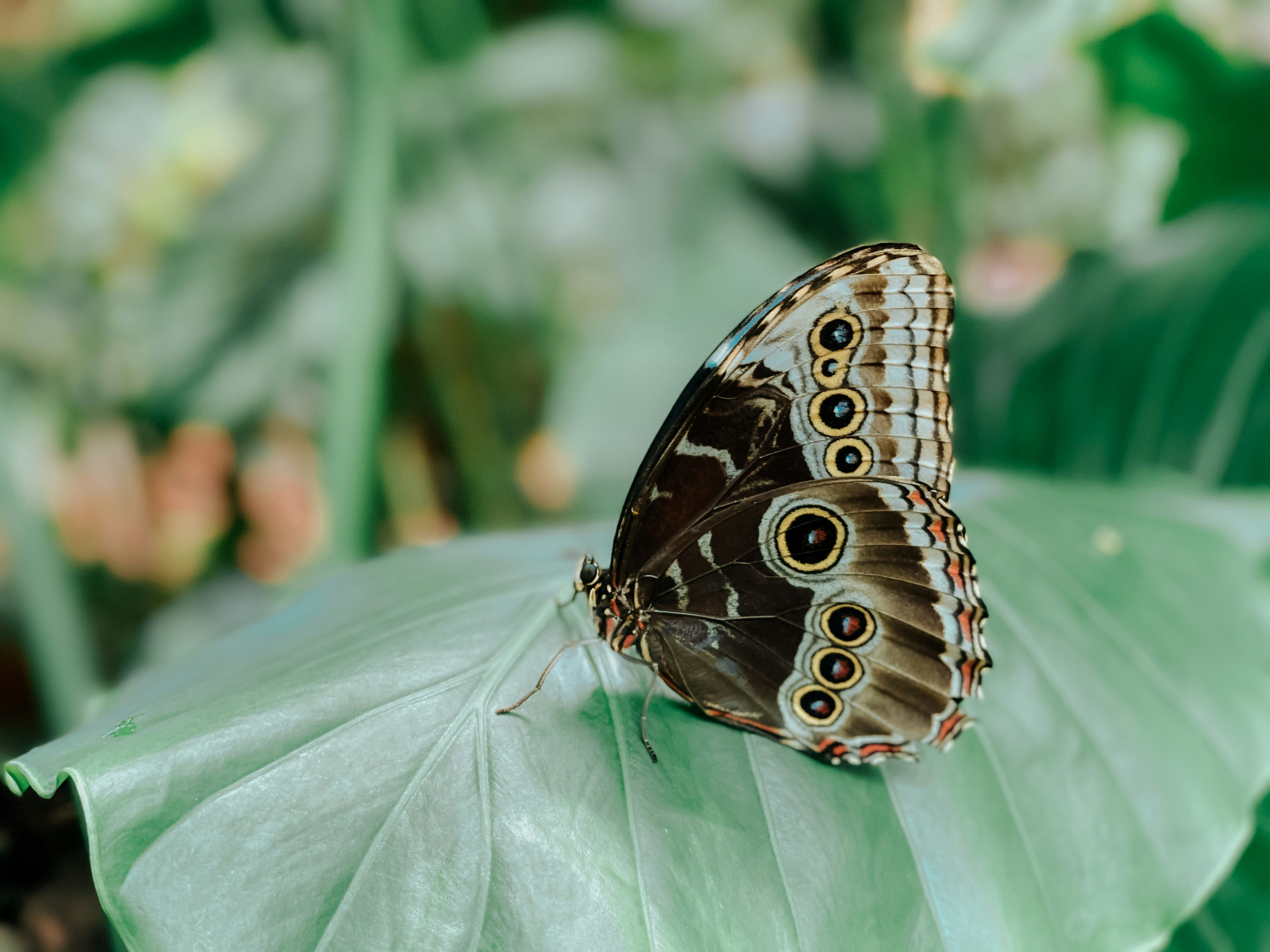 Photo by aryanspixel