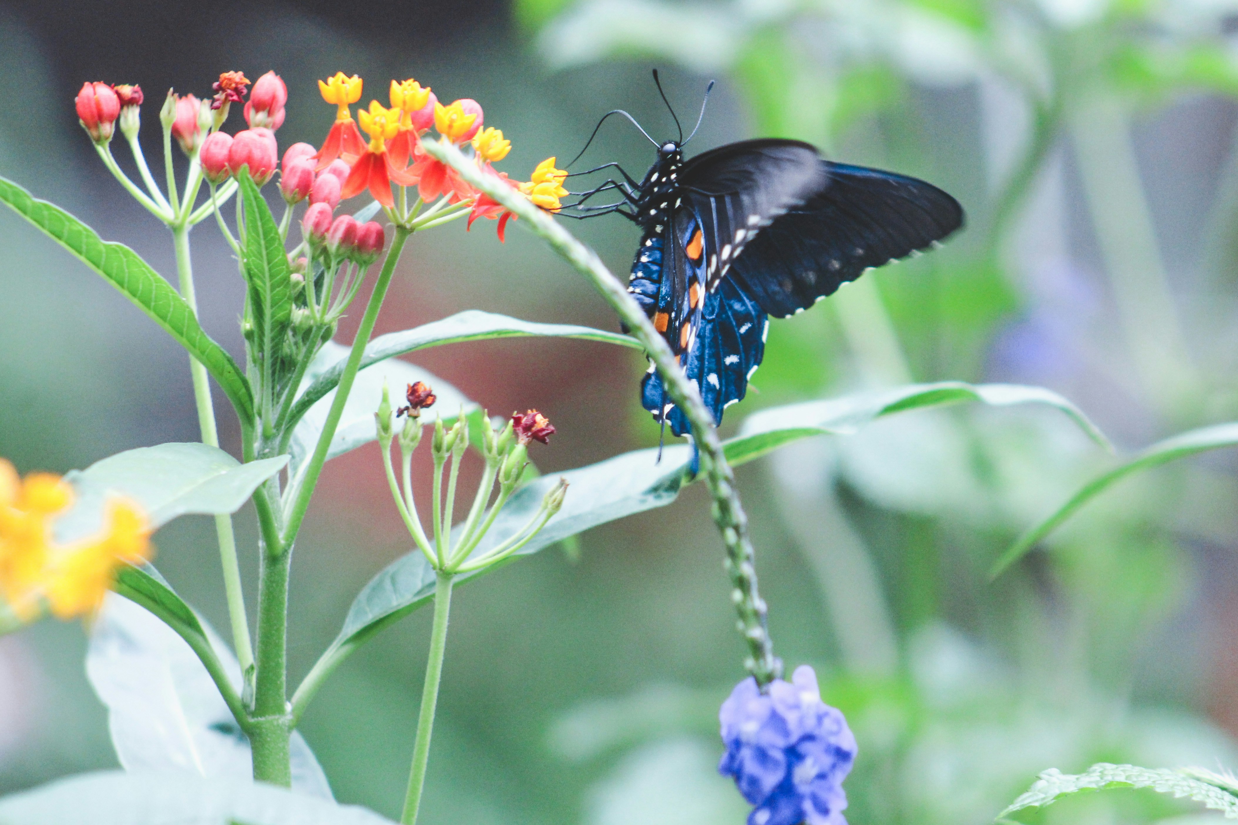 Photo by aryanspixel