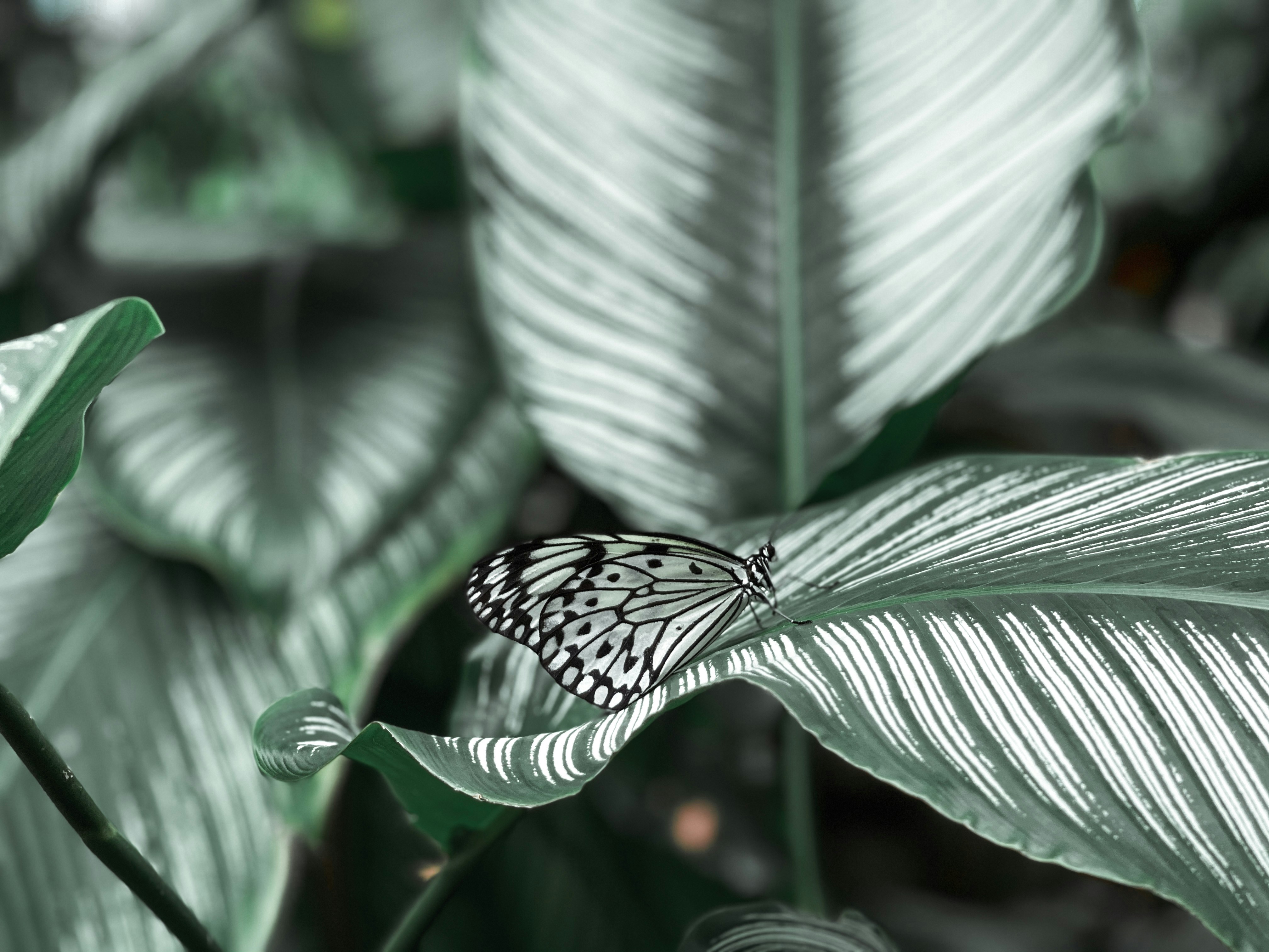 Photo by aryanspixel