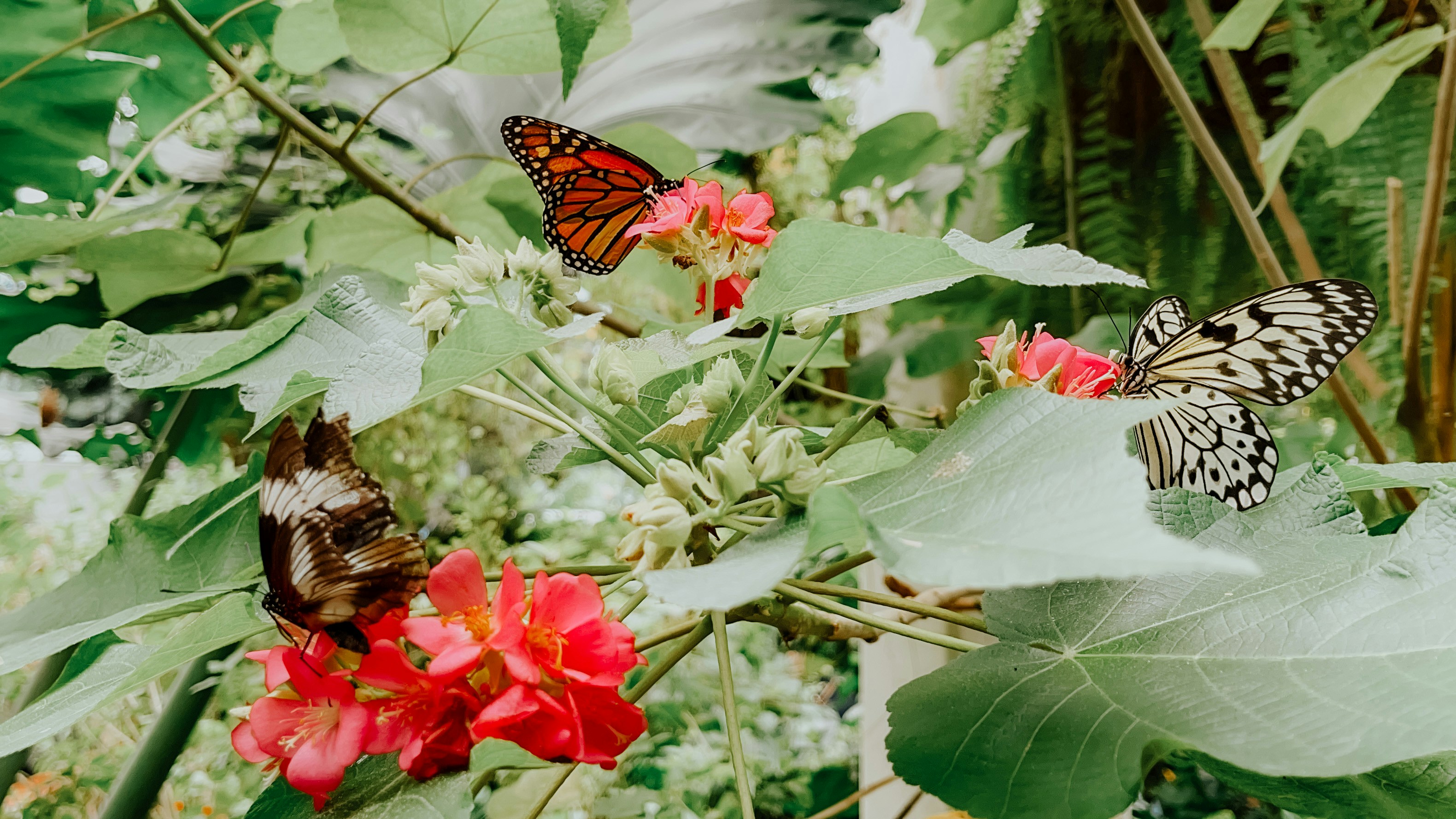 Photo by aryanspixel