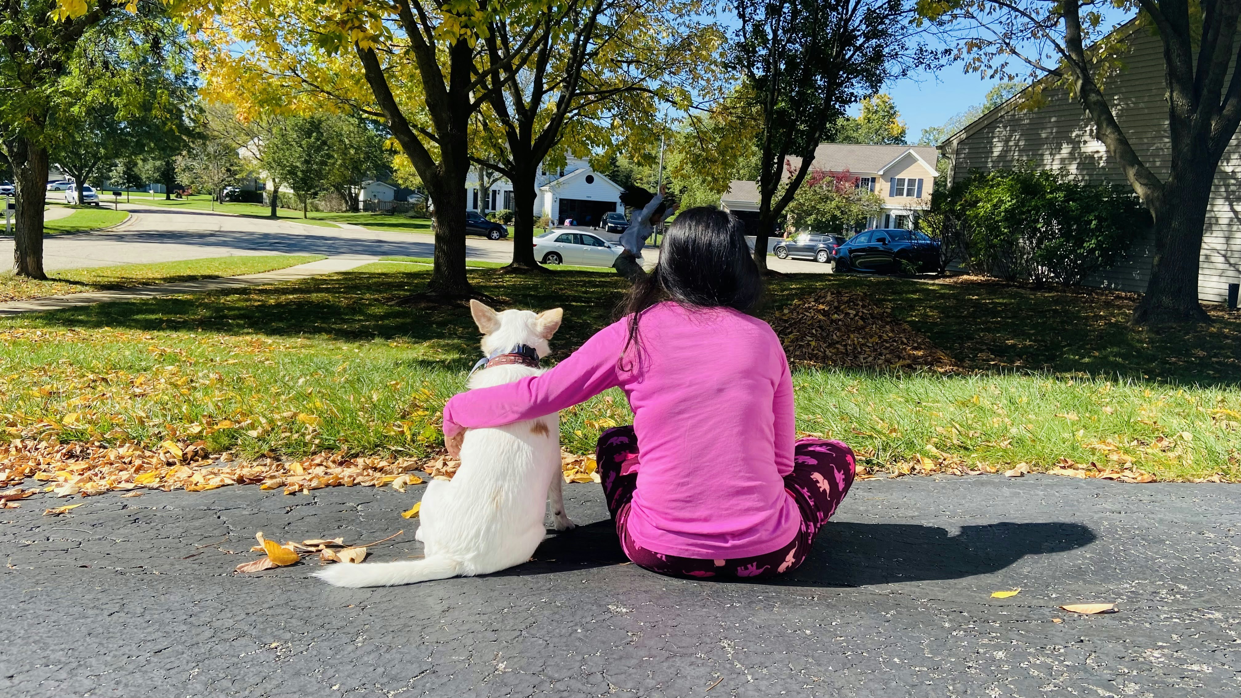 a woman sitting on the ground with a dog