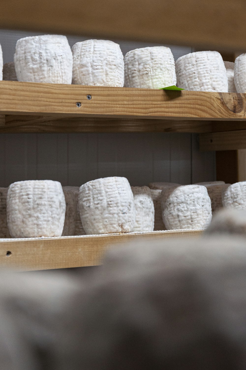 a shelf filled with lots of cheese on top of a wooden shelf