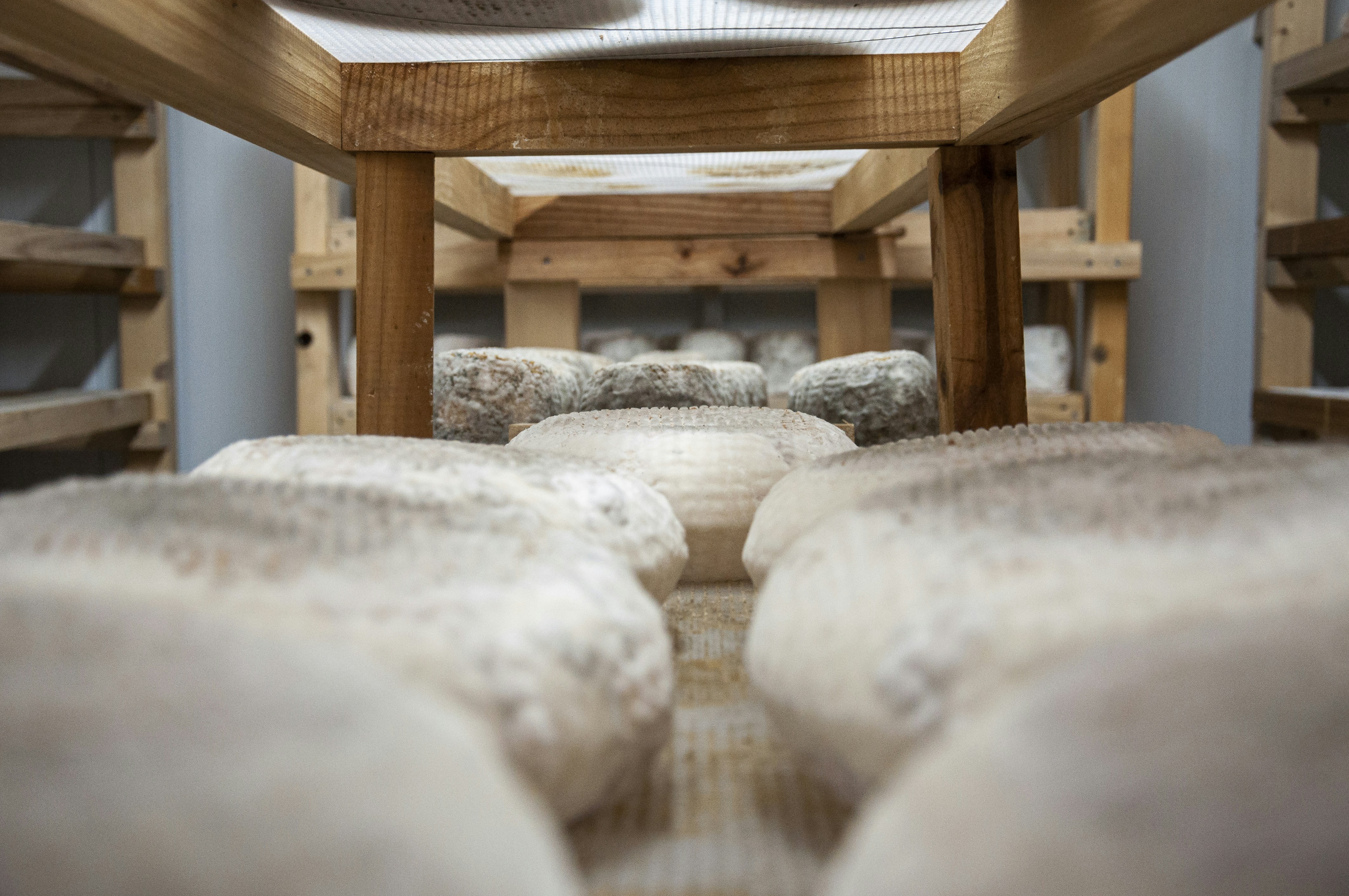 a pair of shoes sitting on top of a wooden bench, Cheese production.