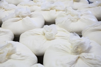 Several tightly wrapped bundles of soft white cheese cloths are arranged closely together, suggesting a process of cheese-making or dairy preparation.