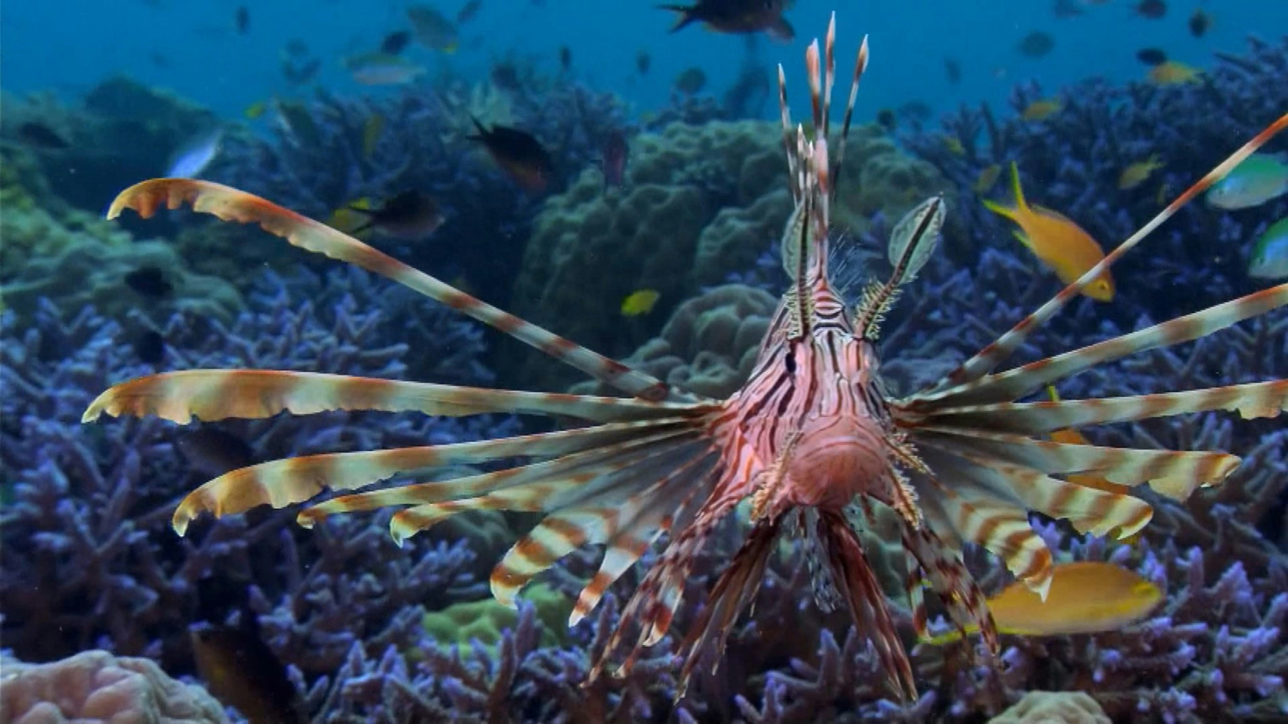 Skincare products on a countertop