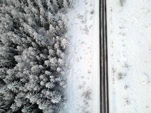 an aerial view of snow covered trees and a road