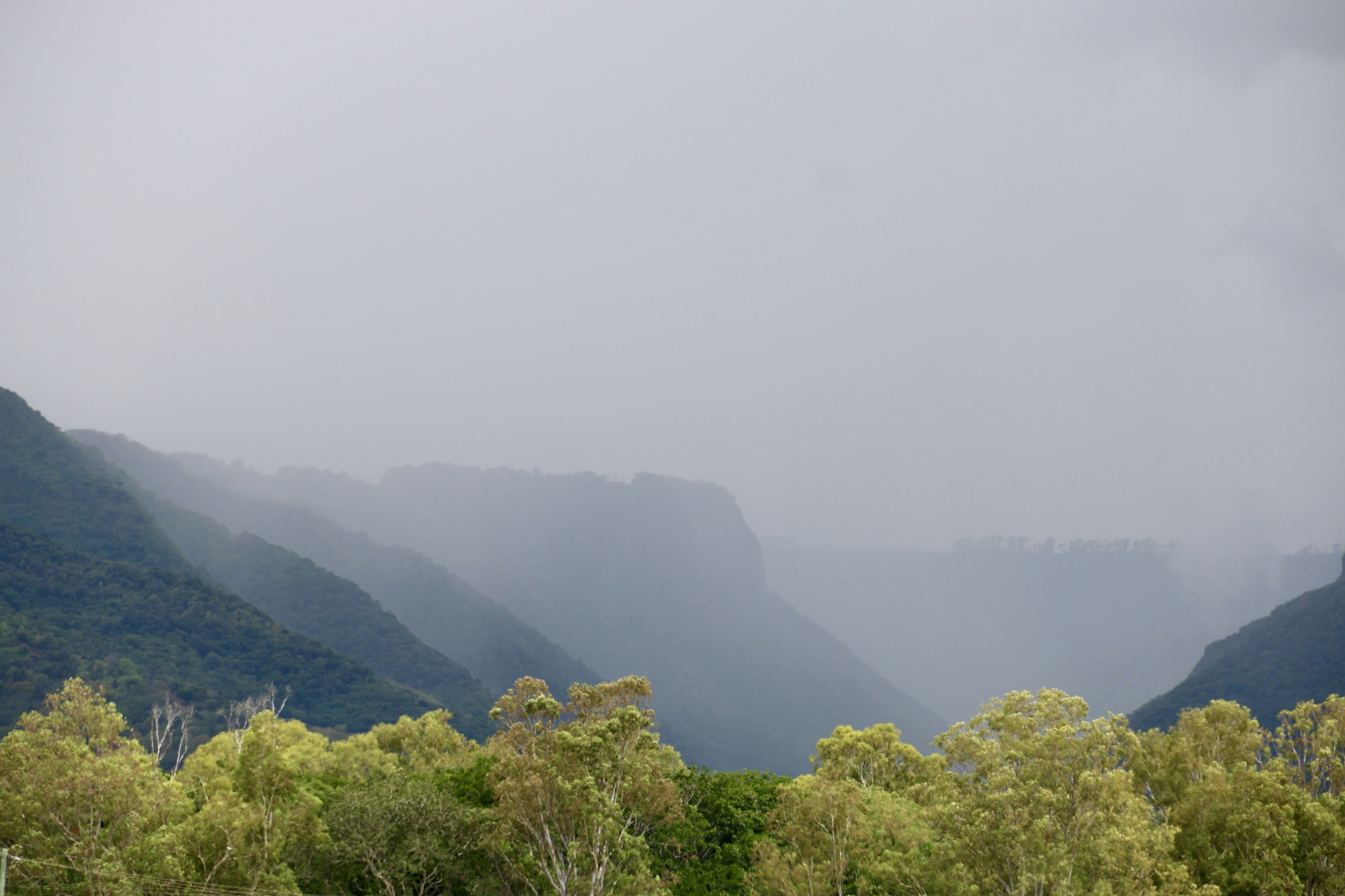 Photo by polinakoroleva