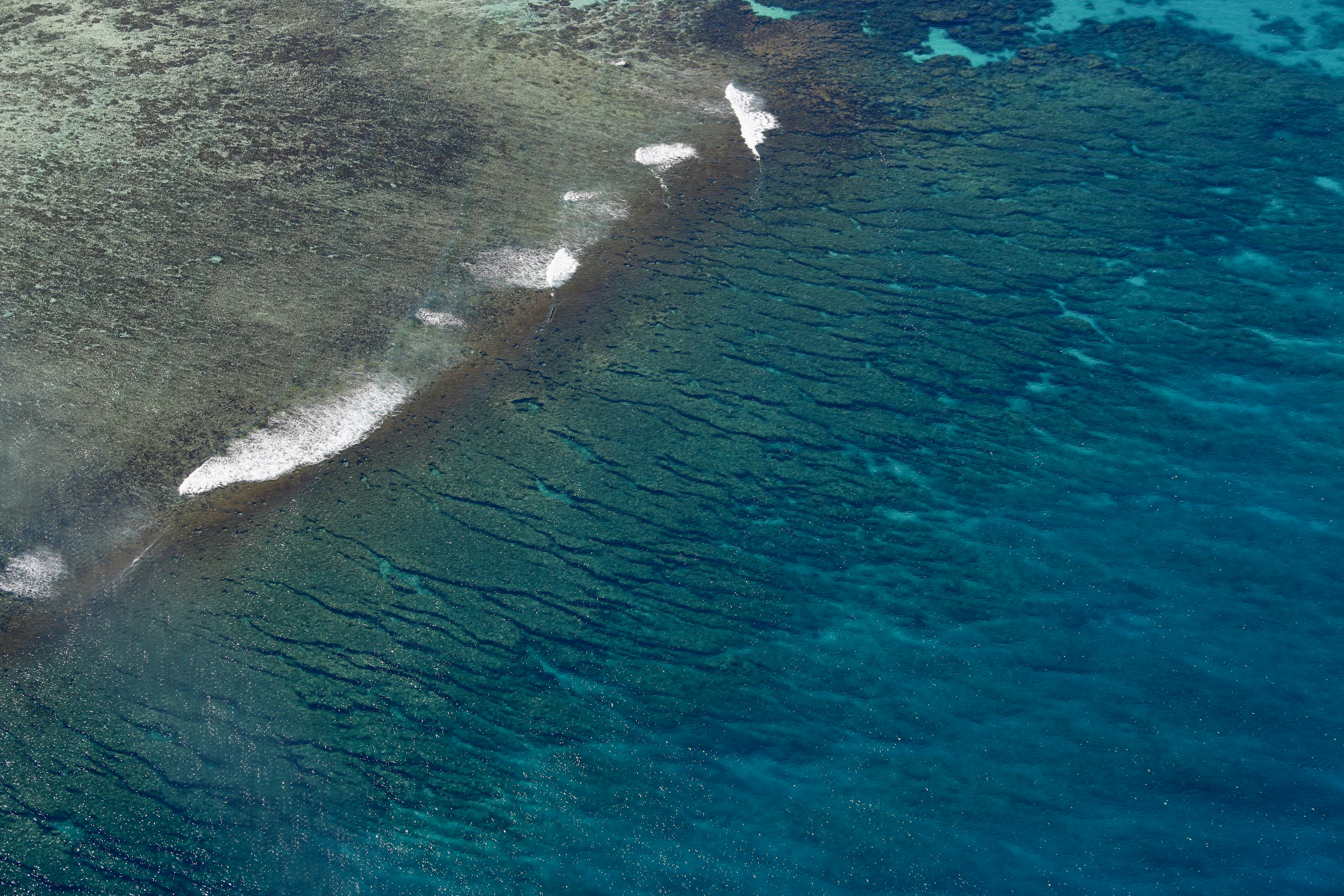 Photo by polinakoroleva