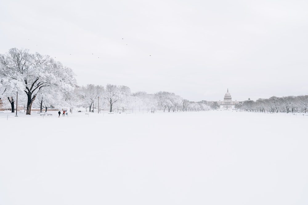 a snow covered field with trees and a building in the background