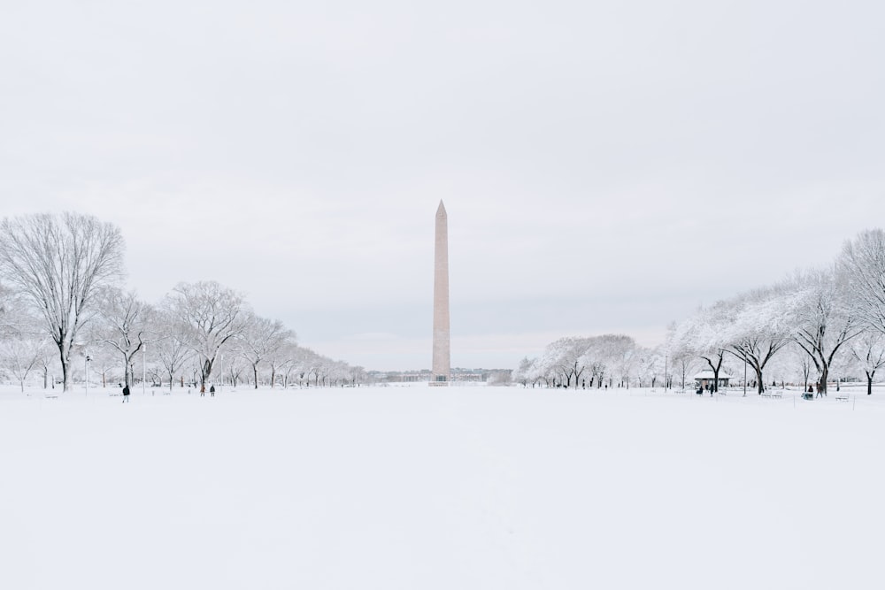 a snow covered field