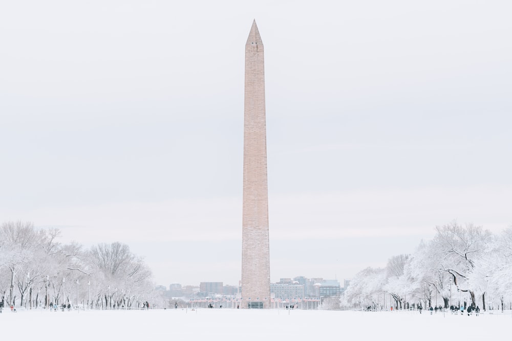 un grand plan d’eau avec le Washington Monument en arrière-plan