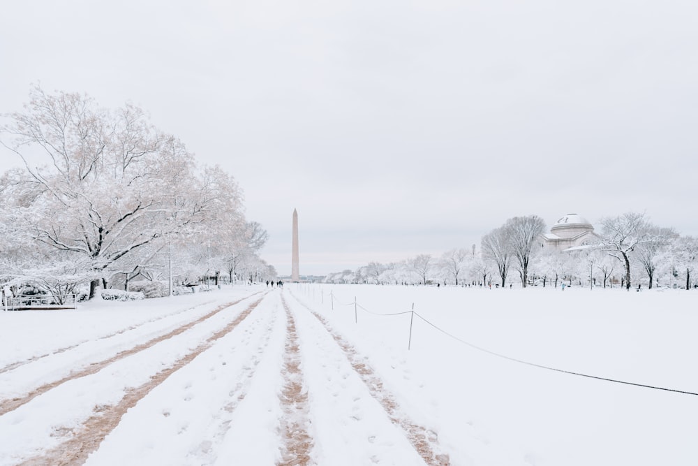 a snow covered field