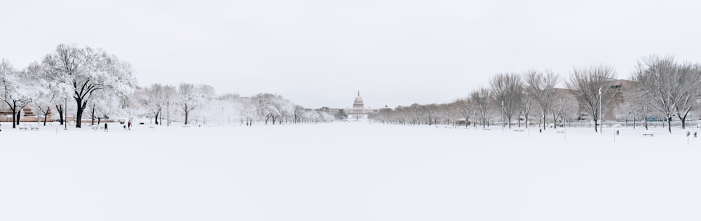 a snow covered field