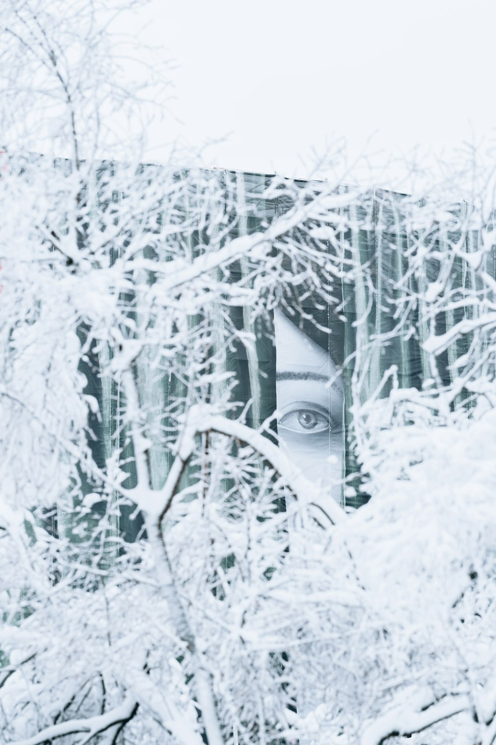Una imagen de la cara de una mujer a través de las ramas de un árbol