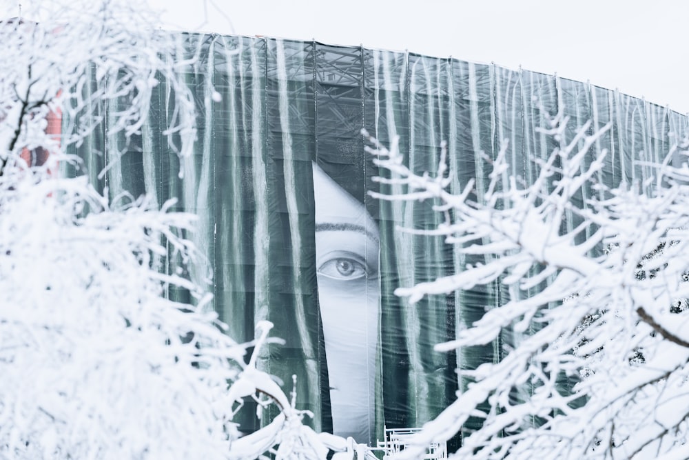 a painting of a woman's face is seen through snow covered trees