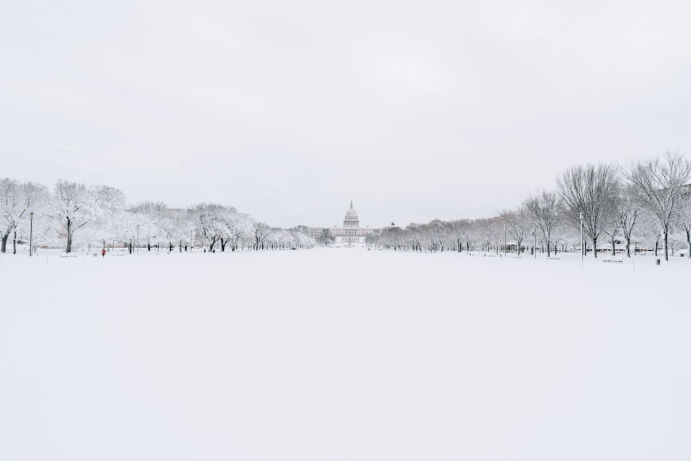 a snowy field with trees and a building in the background