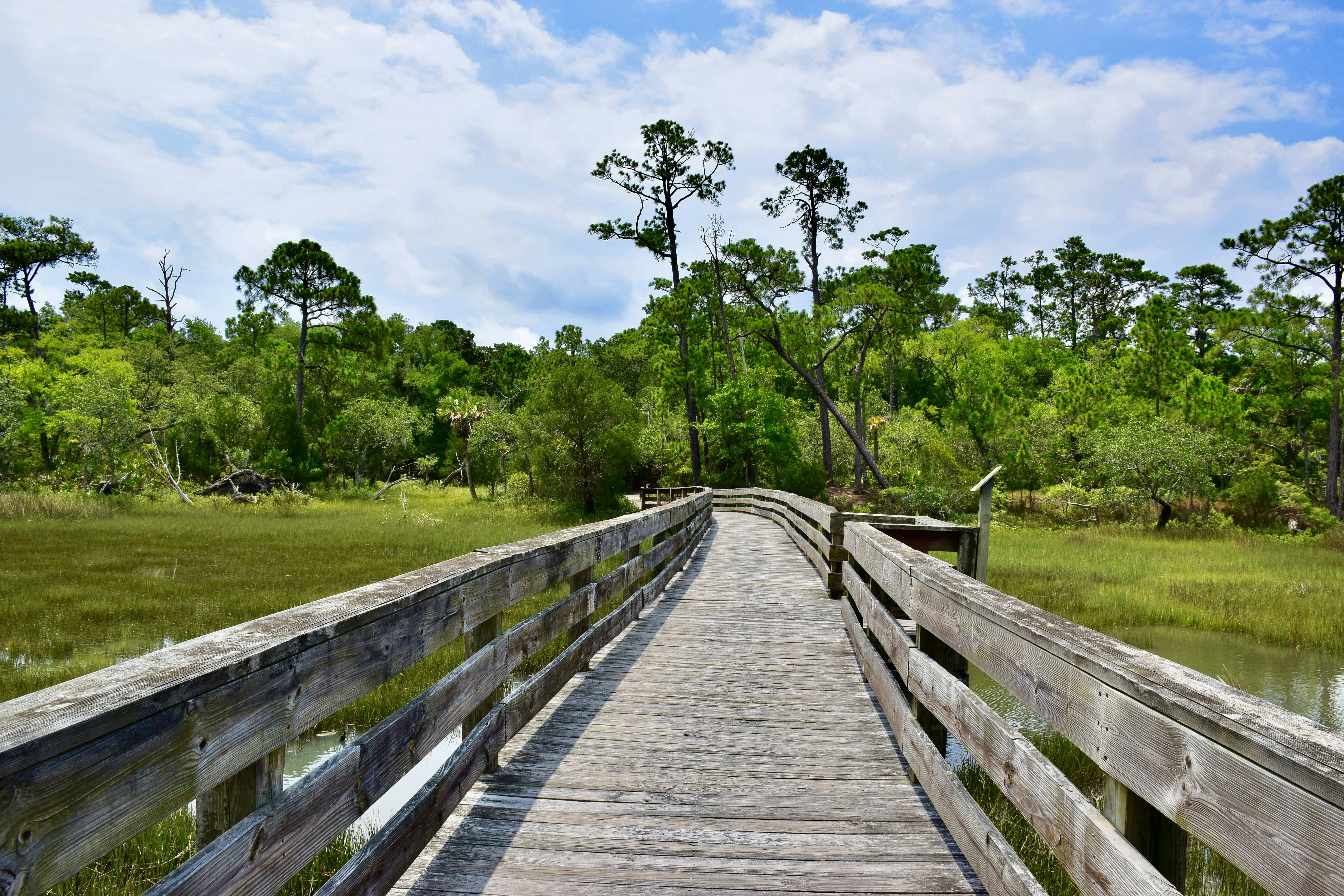 Photo by carolineelisabeth