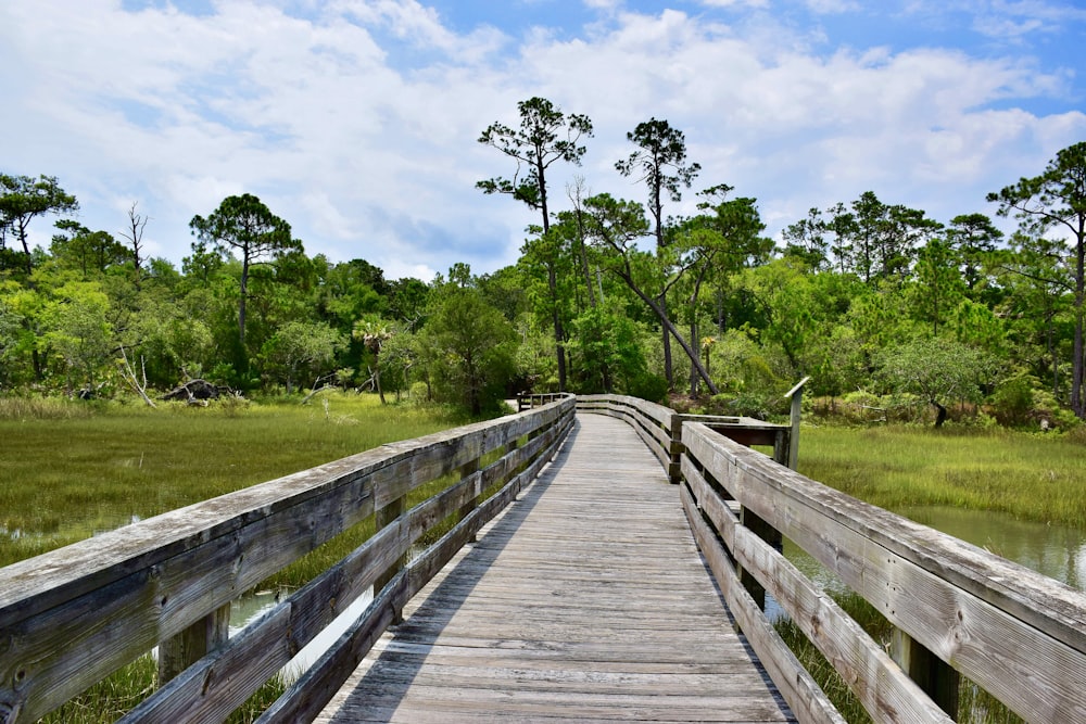 a wooden bridge over a body of water