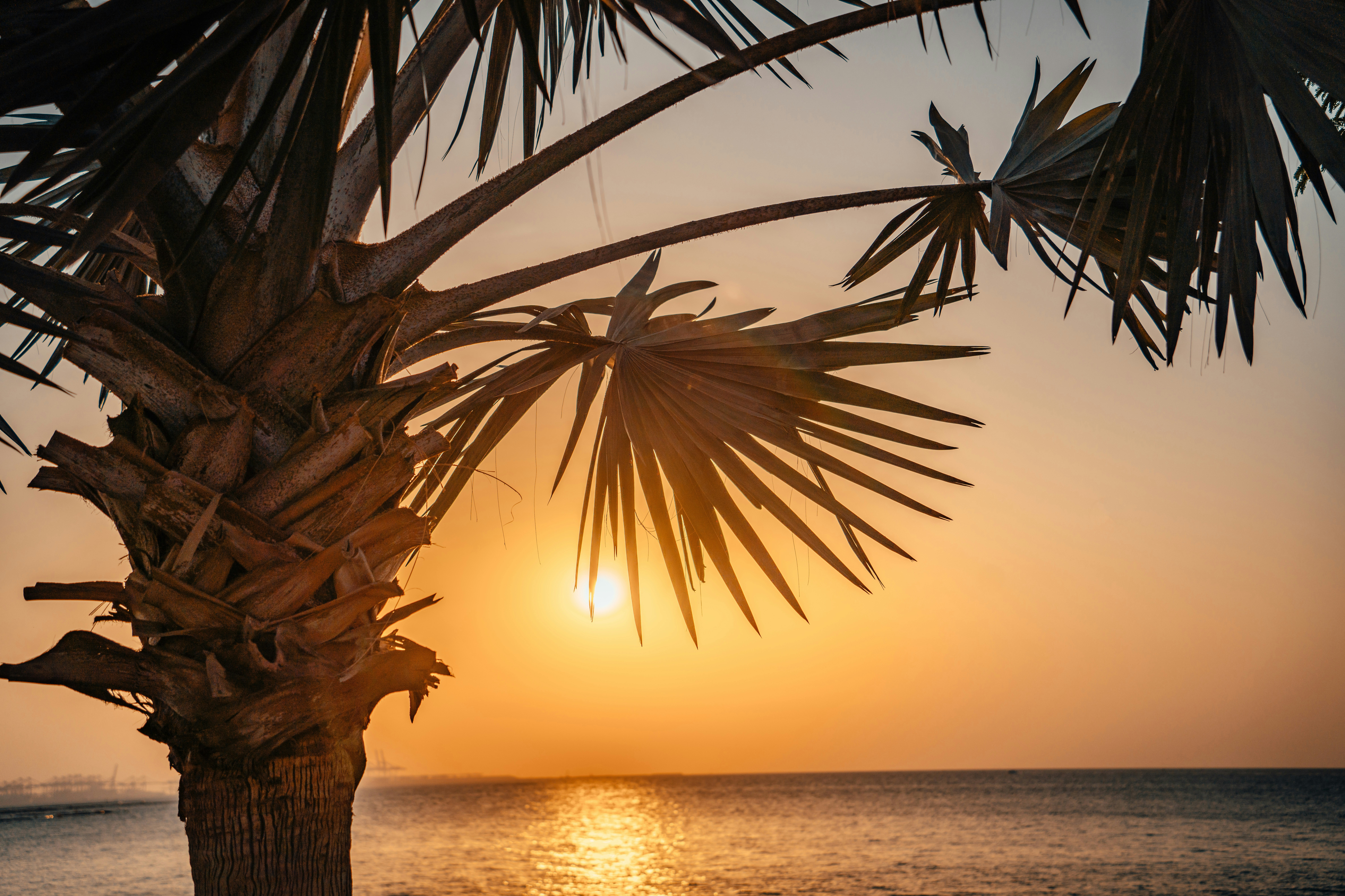 Photo by raimondklavins