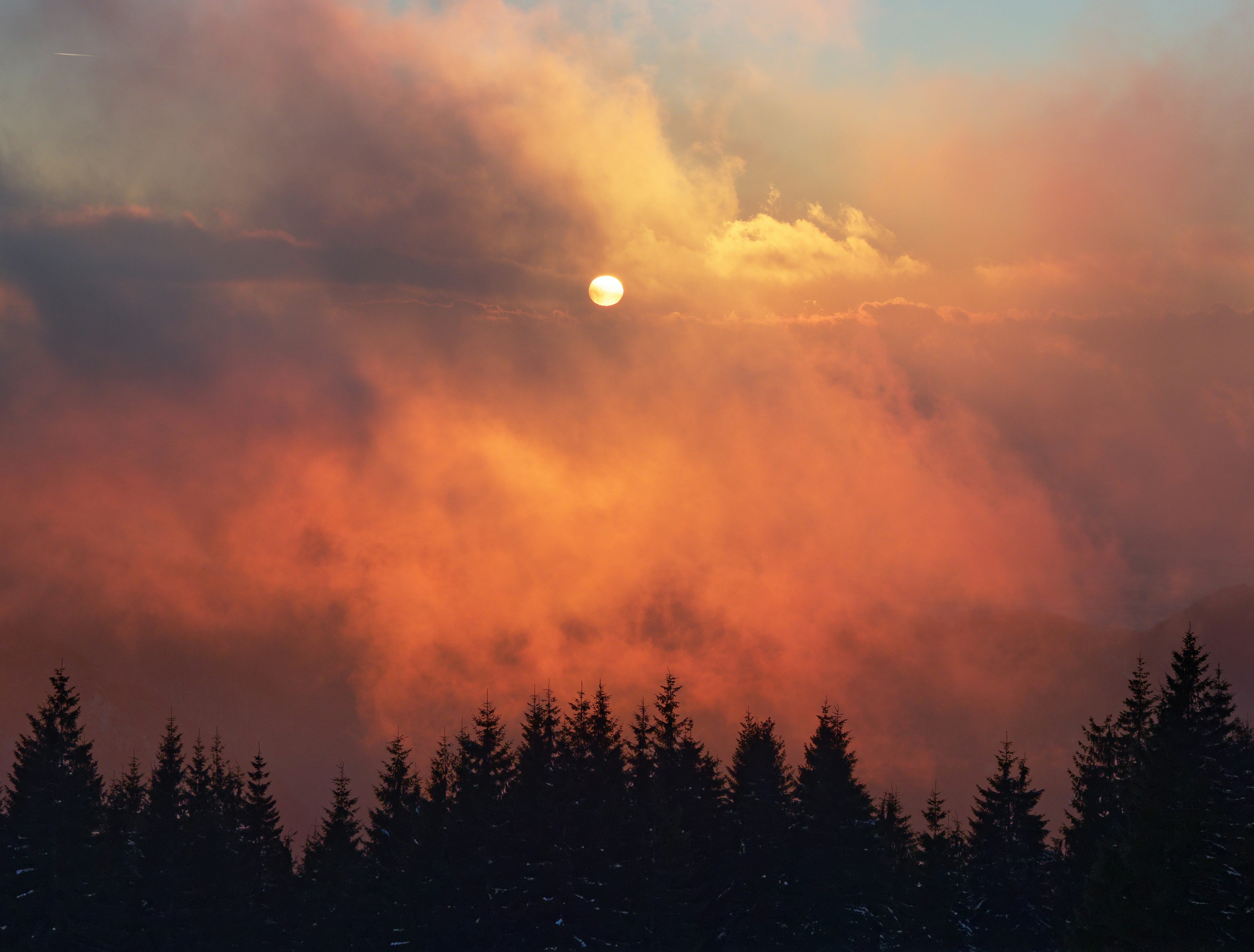 Photo by illes_cristi