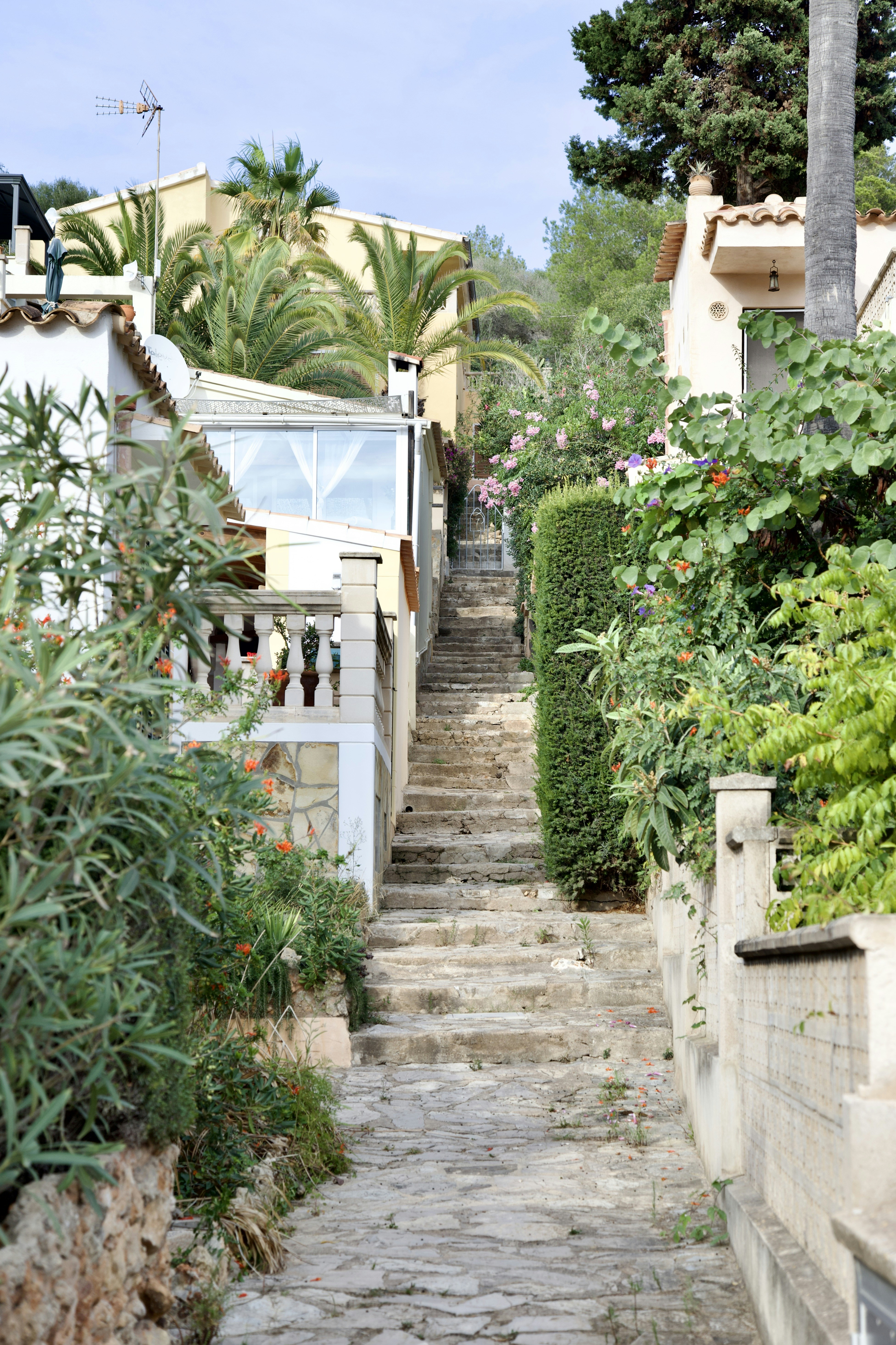 Photo by stockbirken