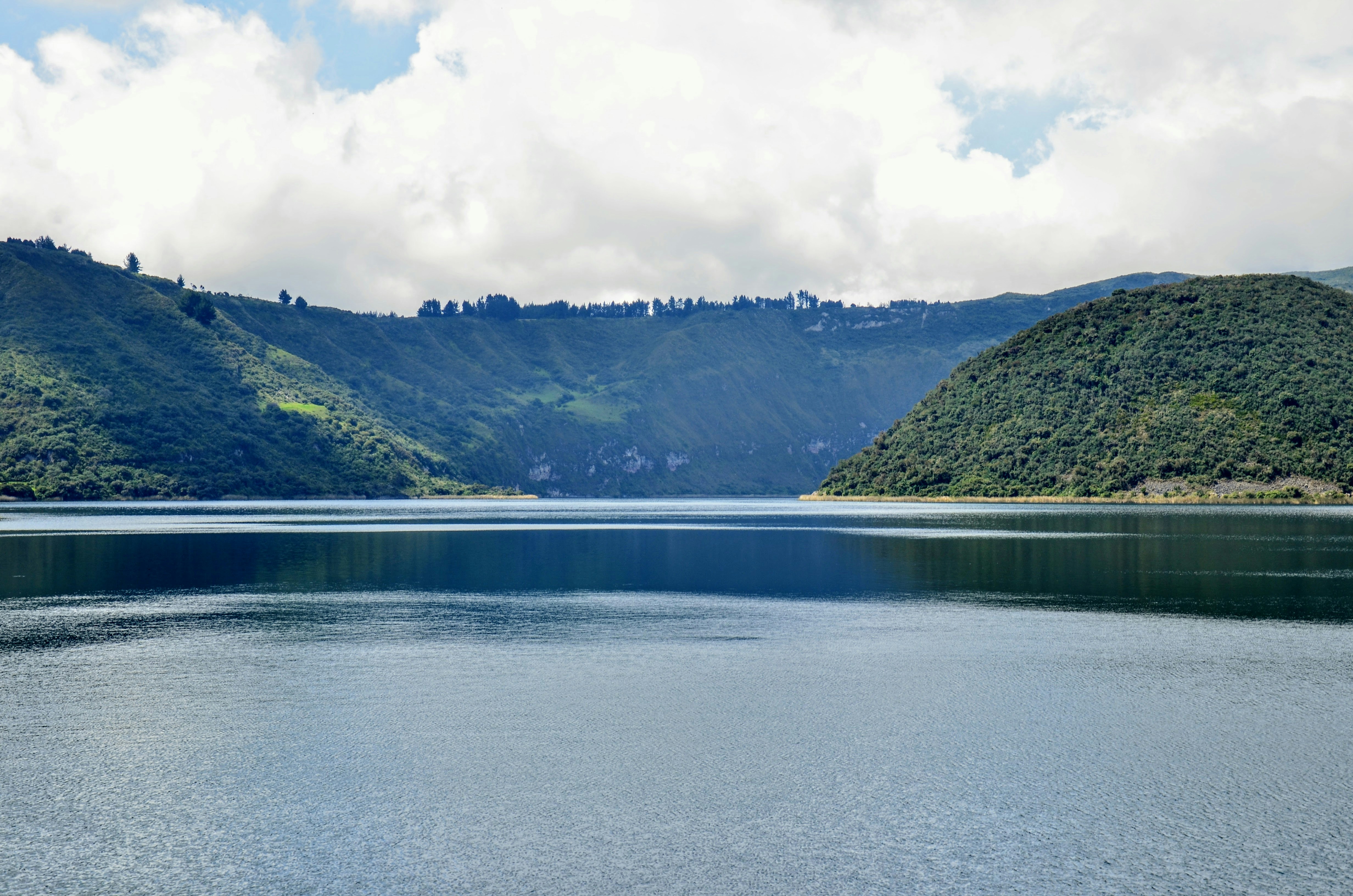 Photo by mauricio_munoz_del