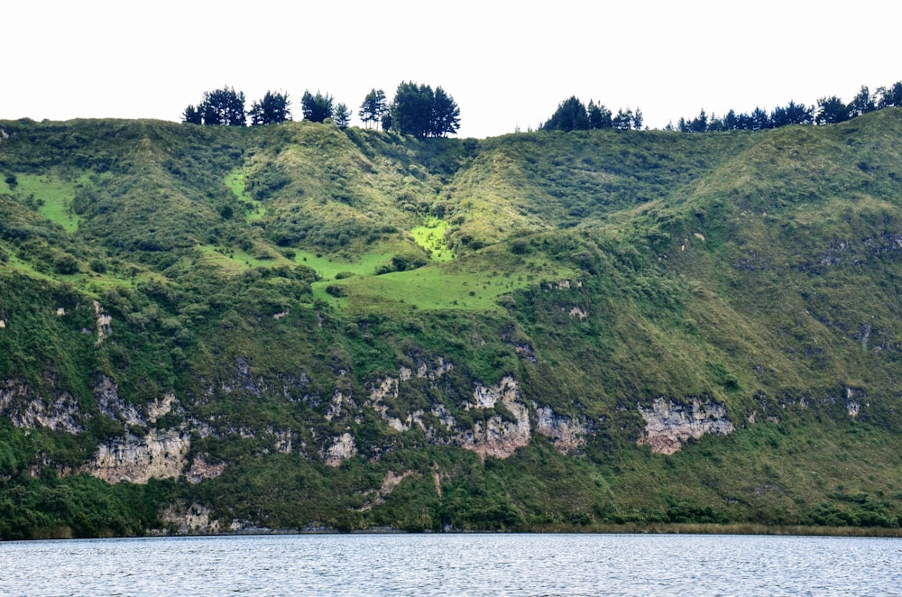 a large body of water surrounded by a lush green hillside