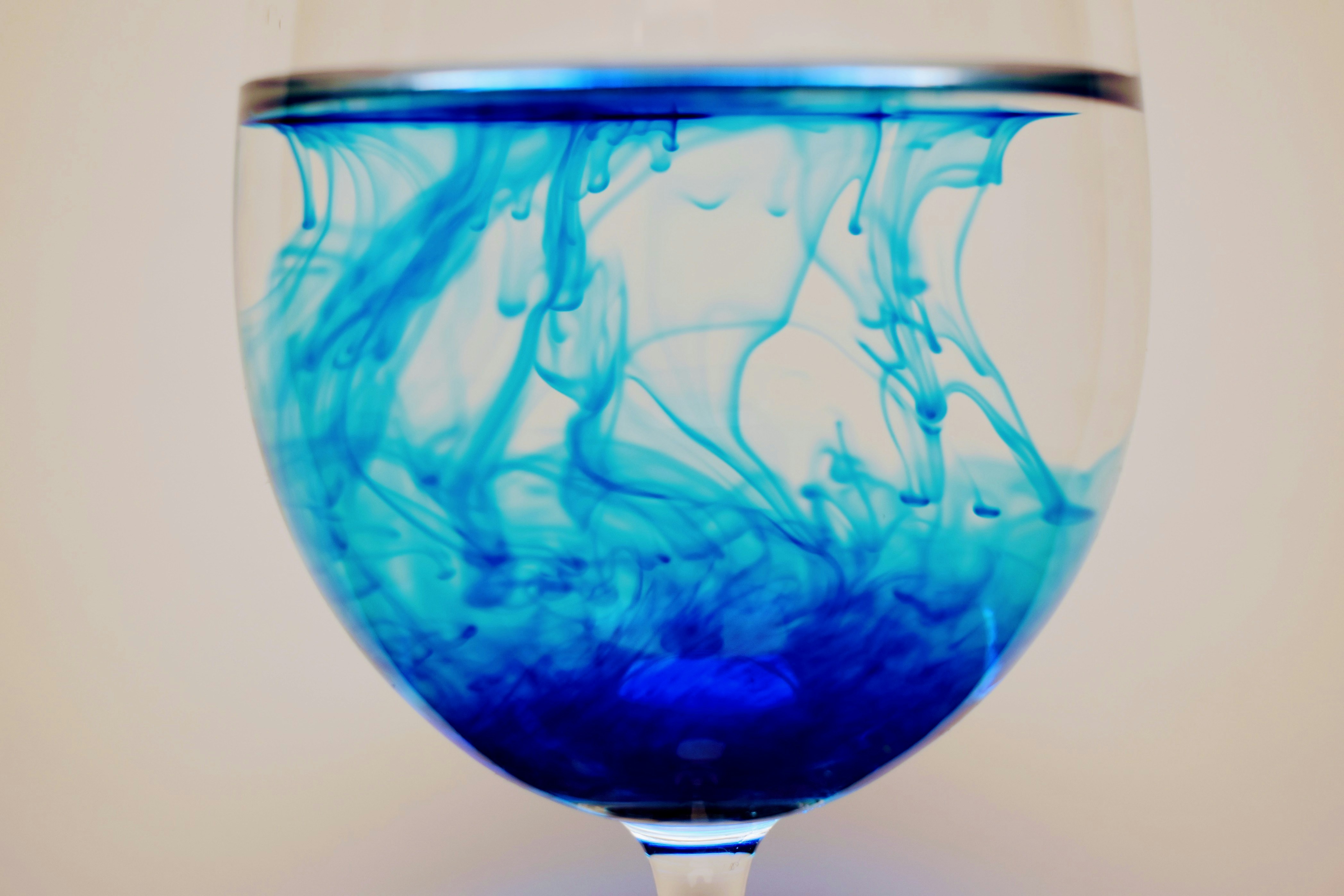 Photo by jasminesphtgrphy