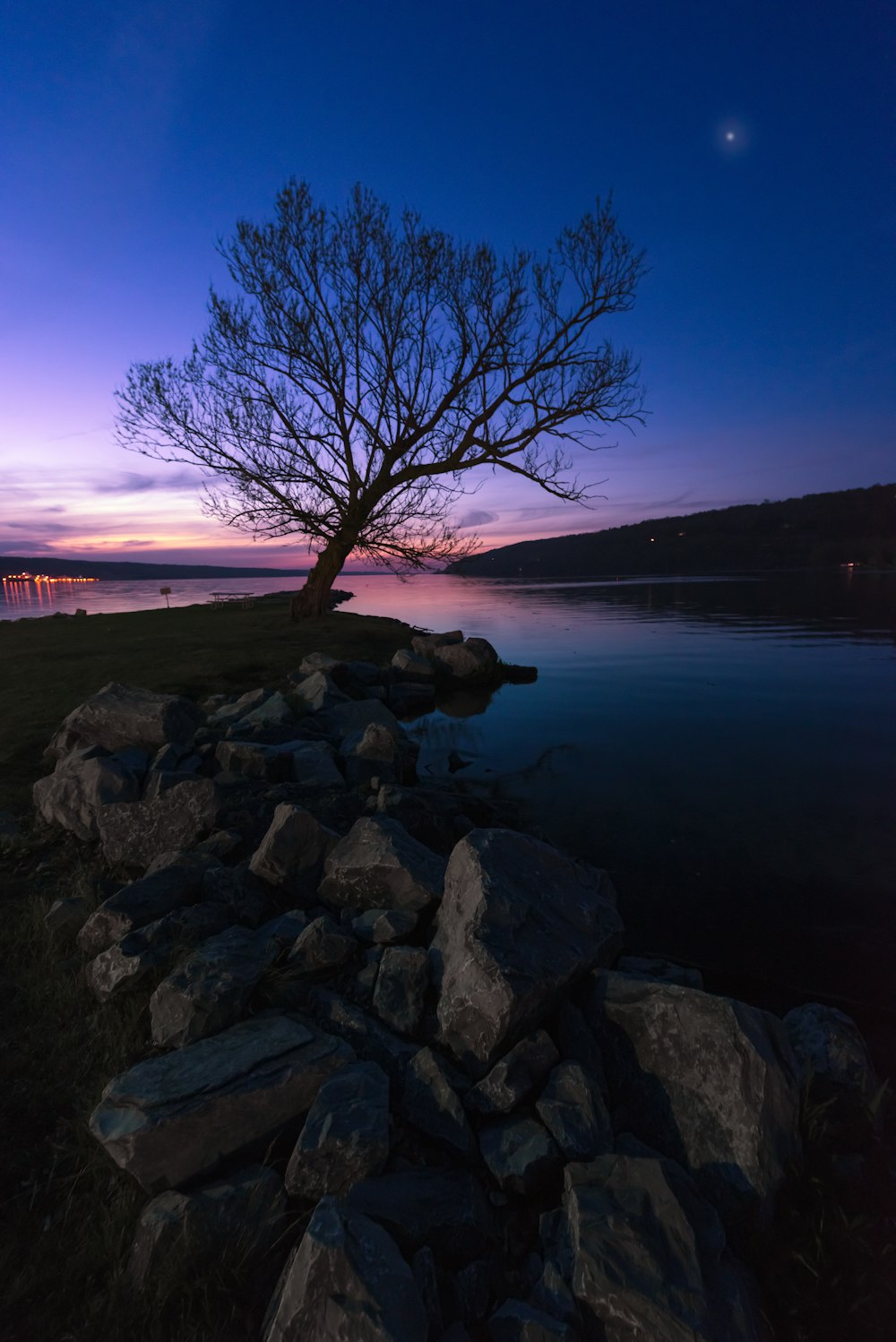 a lone tree sitting on the edge of a body of water