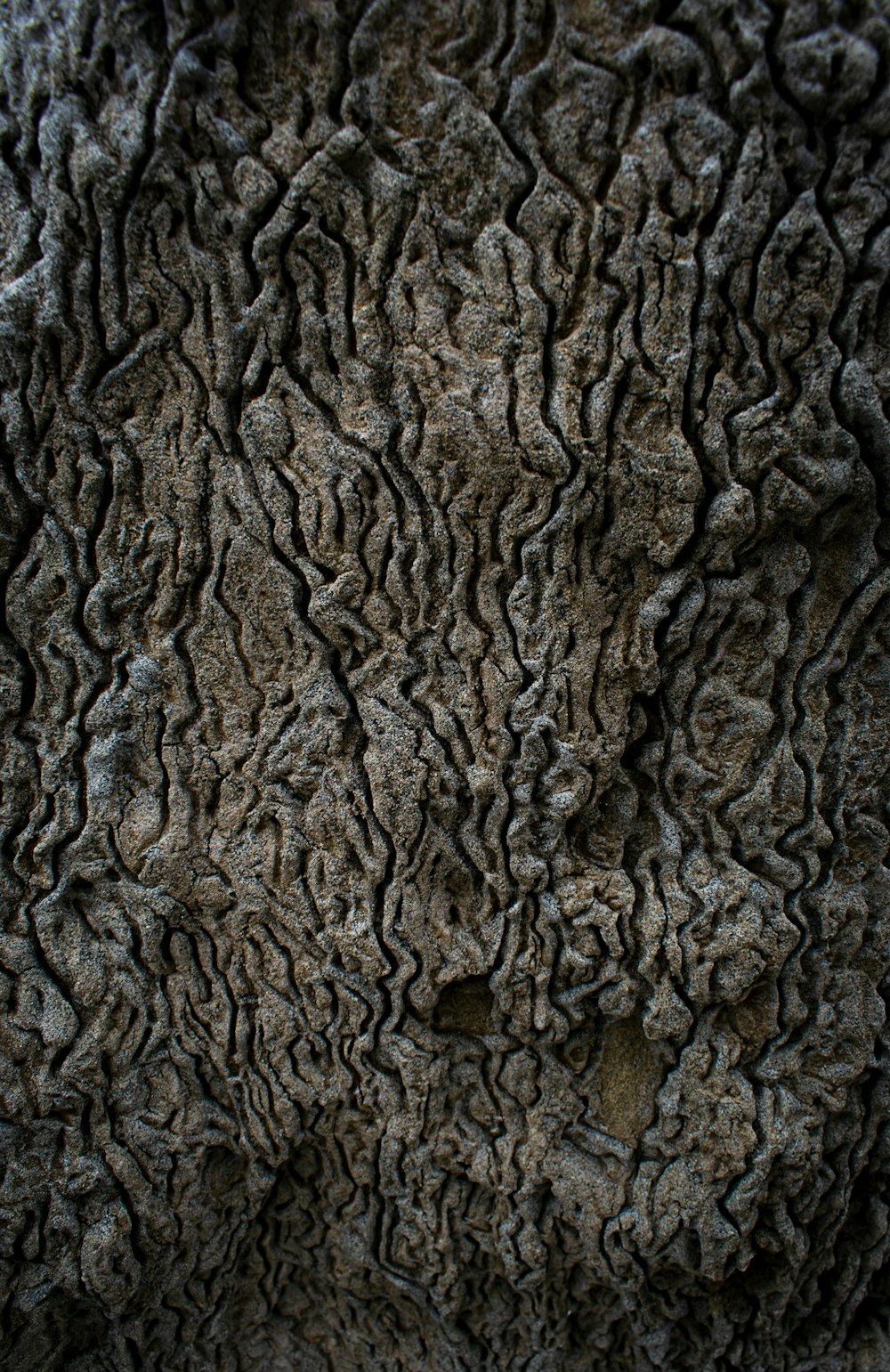 a close up of a tree bark texture