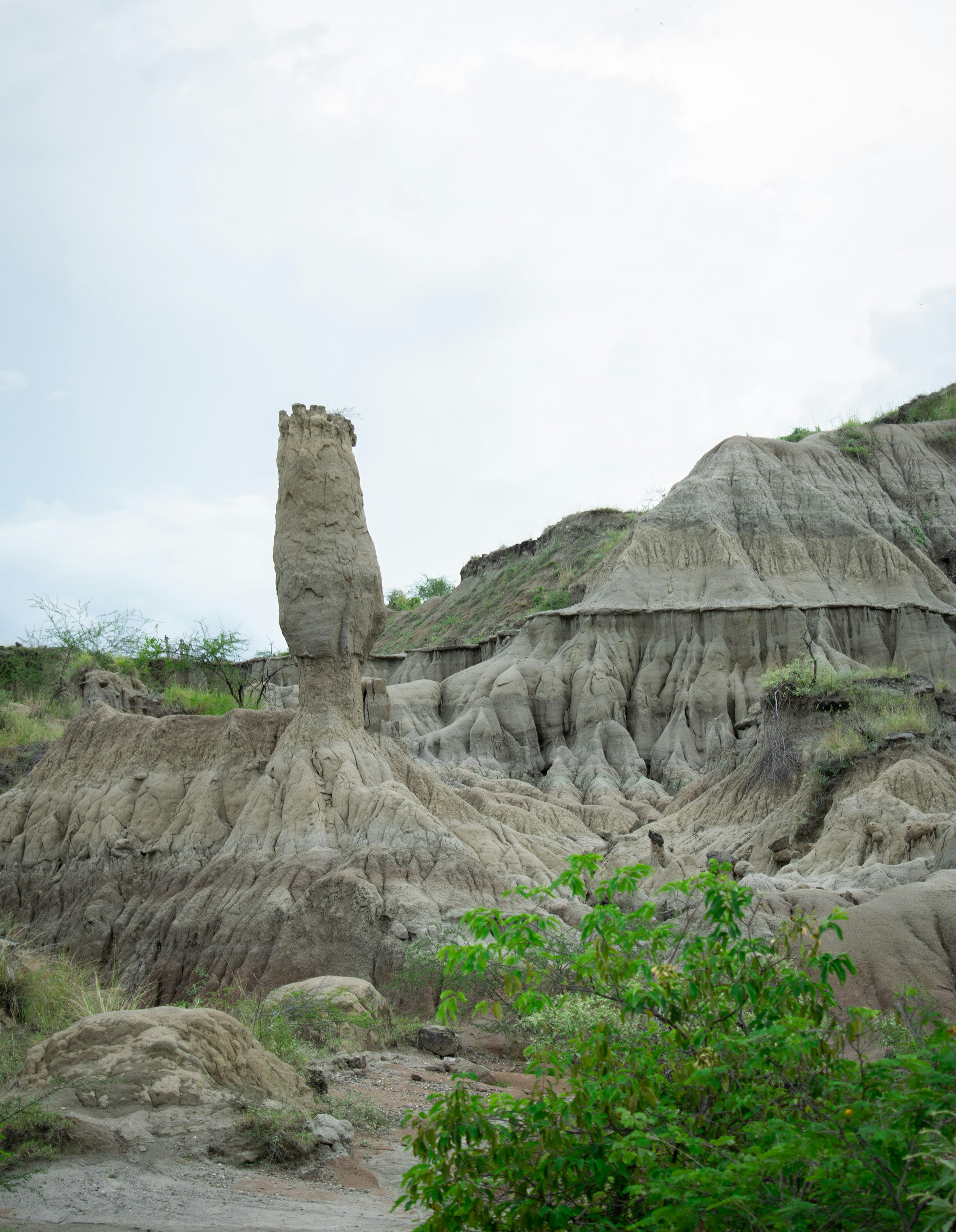 들판 한가운데에 있는 큰 암석