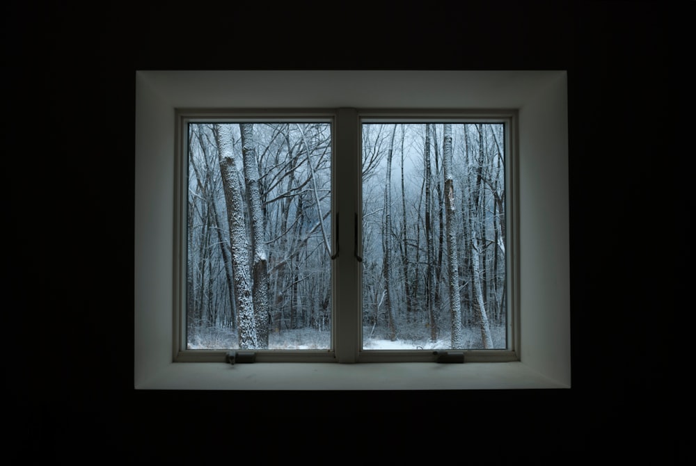 a window with a view of a snowy forest