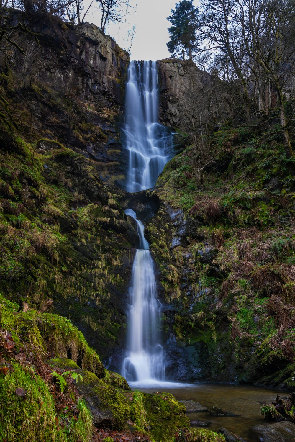 Una gran cascada en medio de un bosque