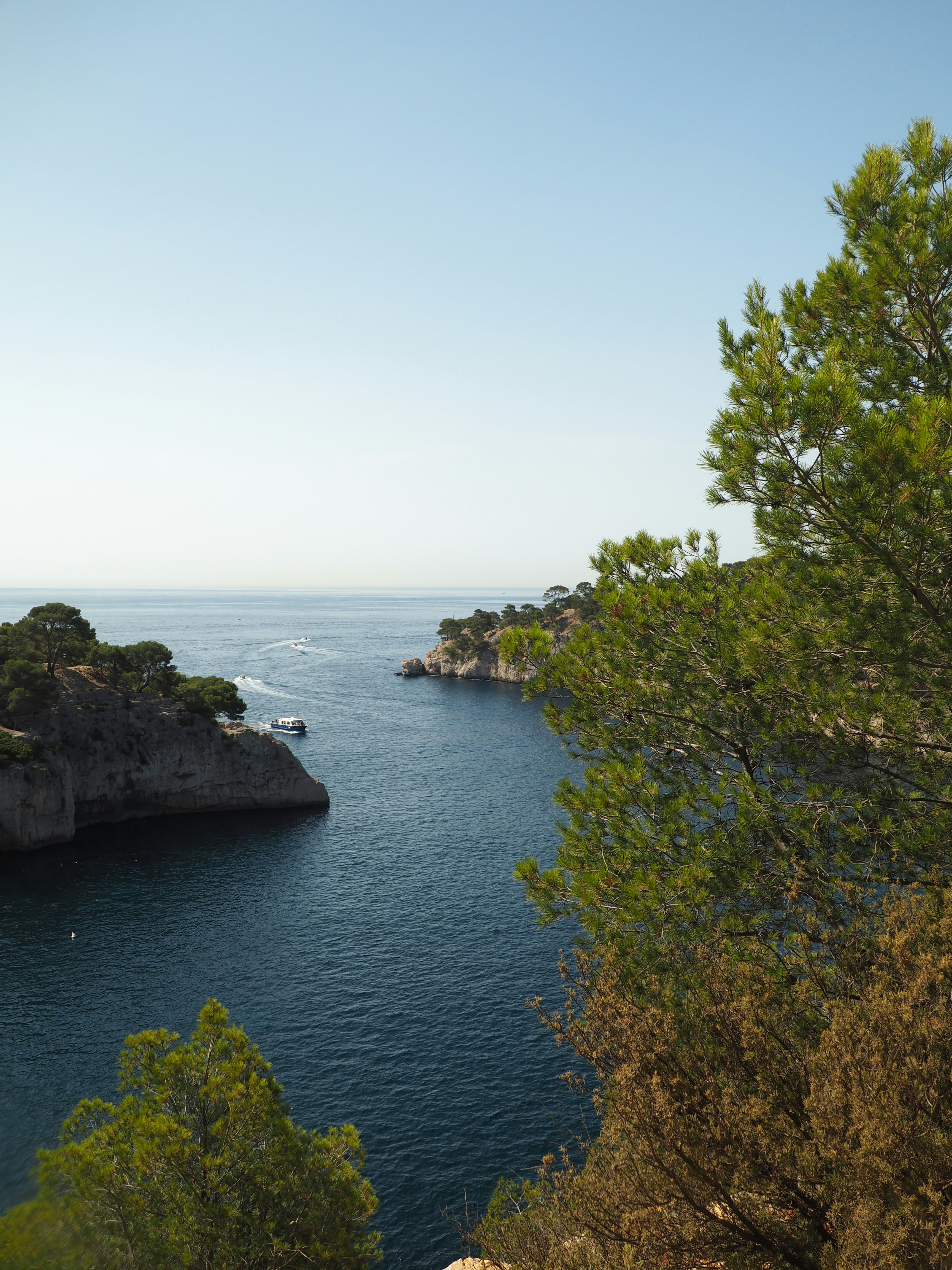 un plan d’eau entouré d’arbres et de rochers