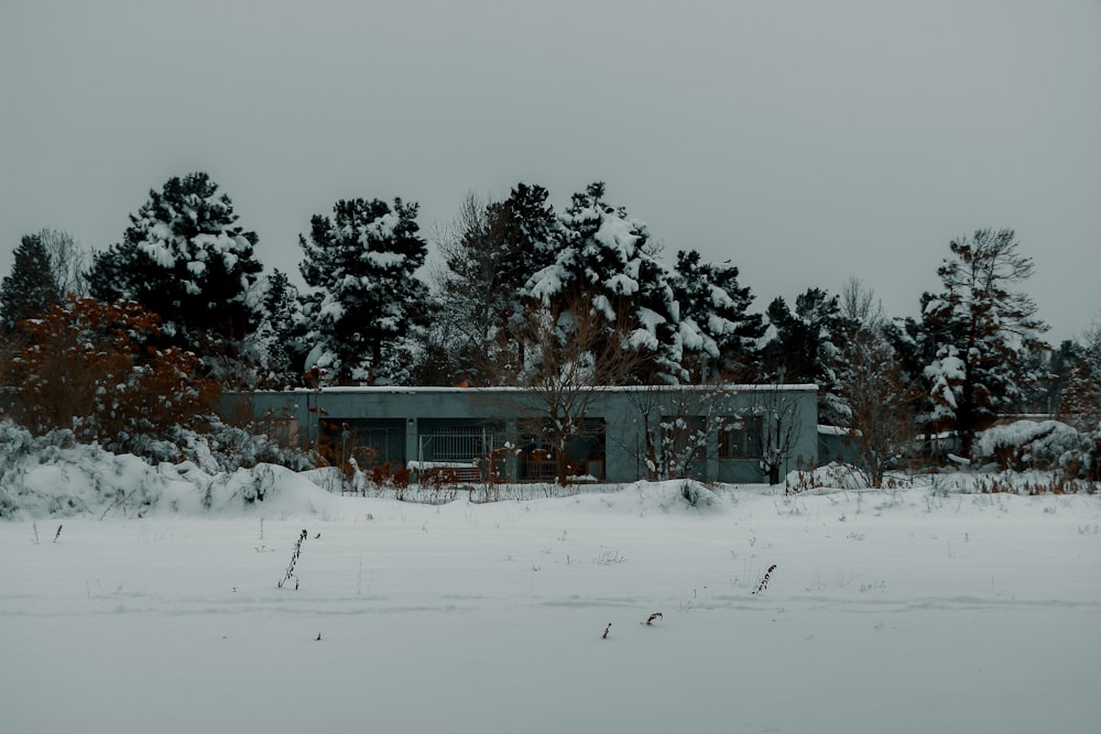 a house in the middle of a snowy field