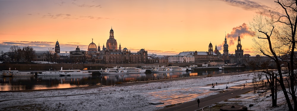 a view of a river with a city in the background