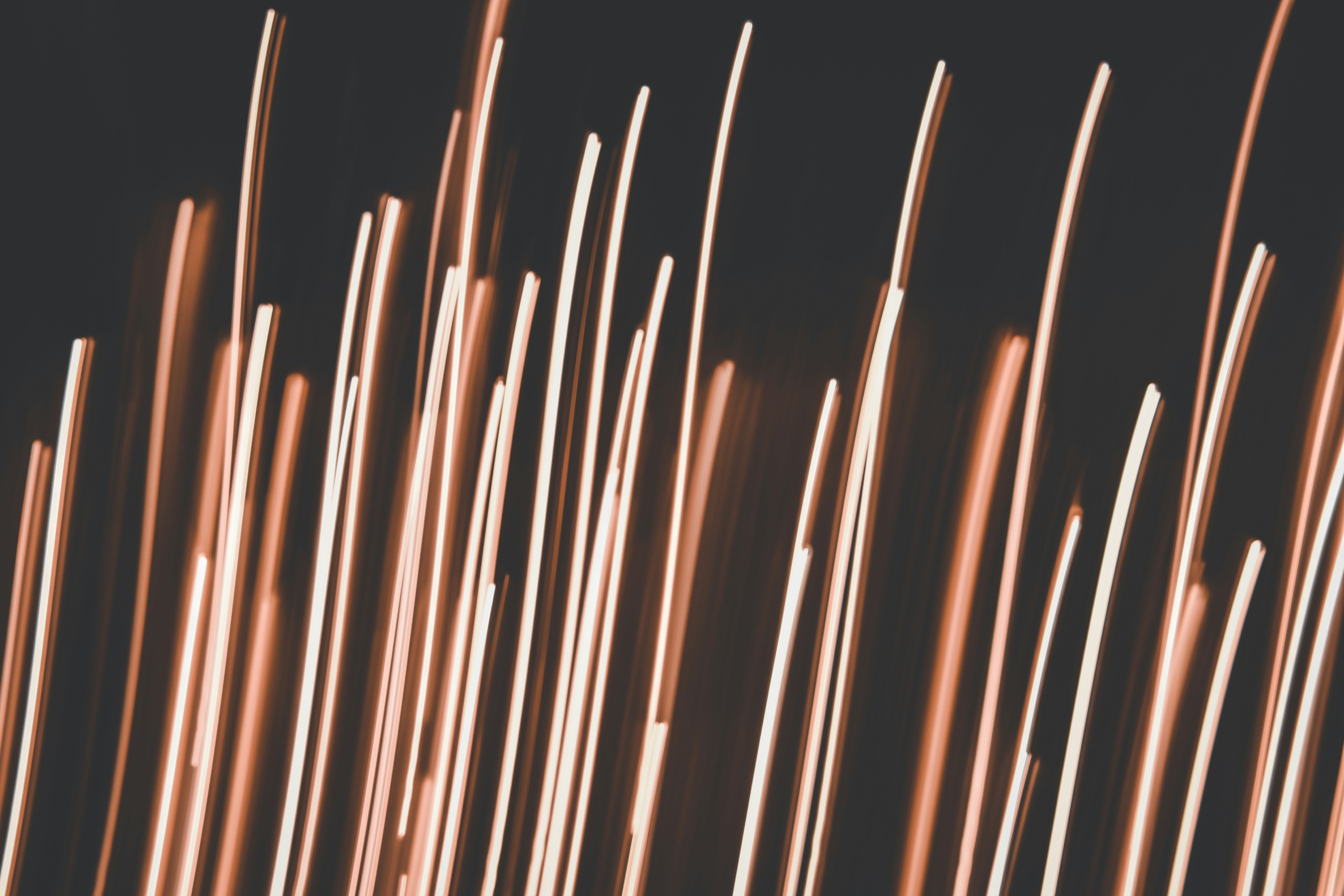 Photo by elliottmason