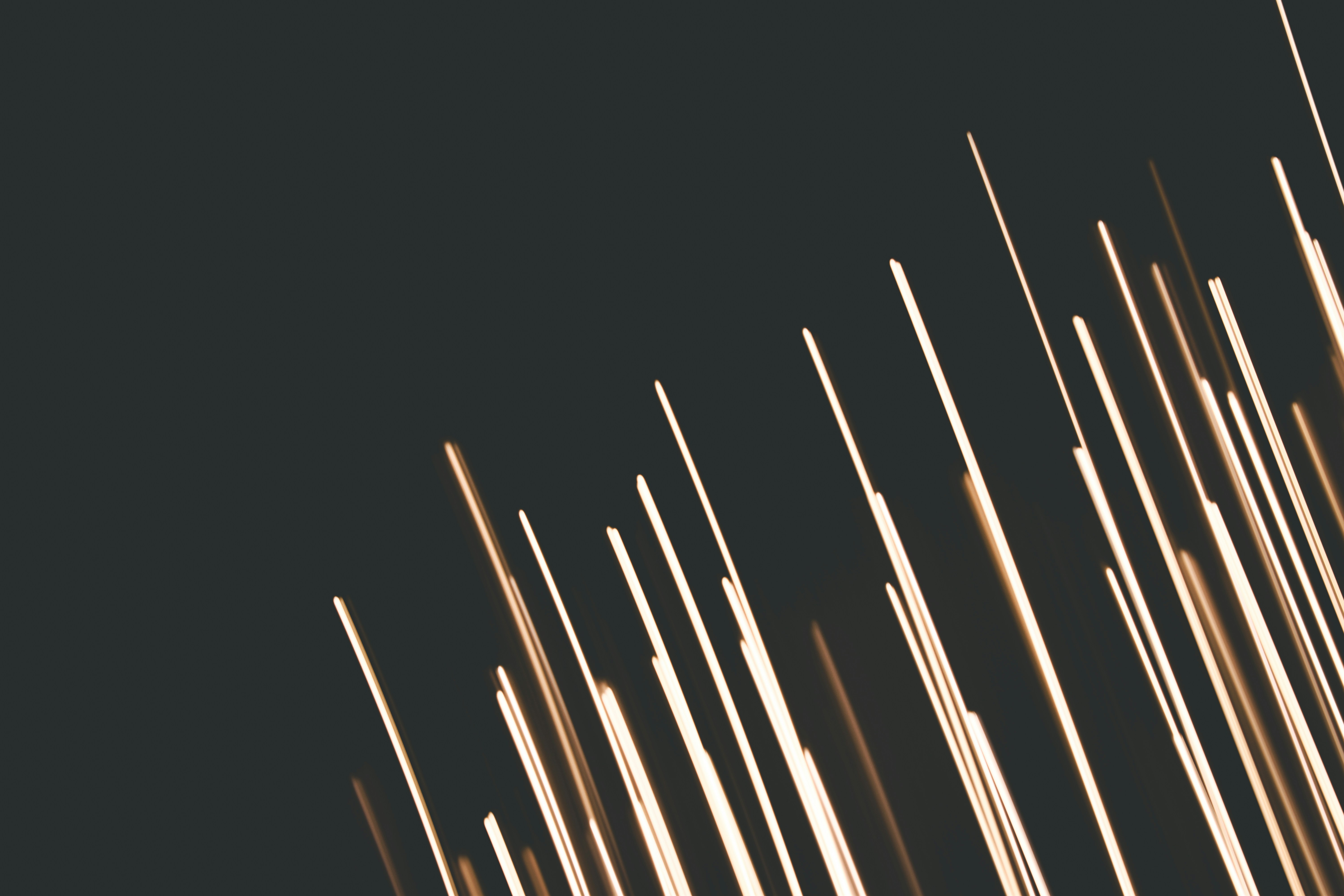 Photo by elliottmason