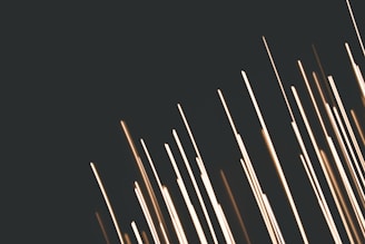 a bunch of sticks that are in the dark