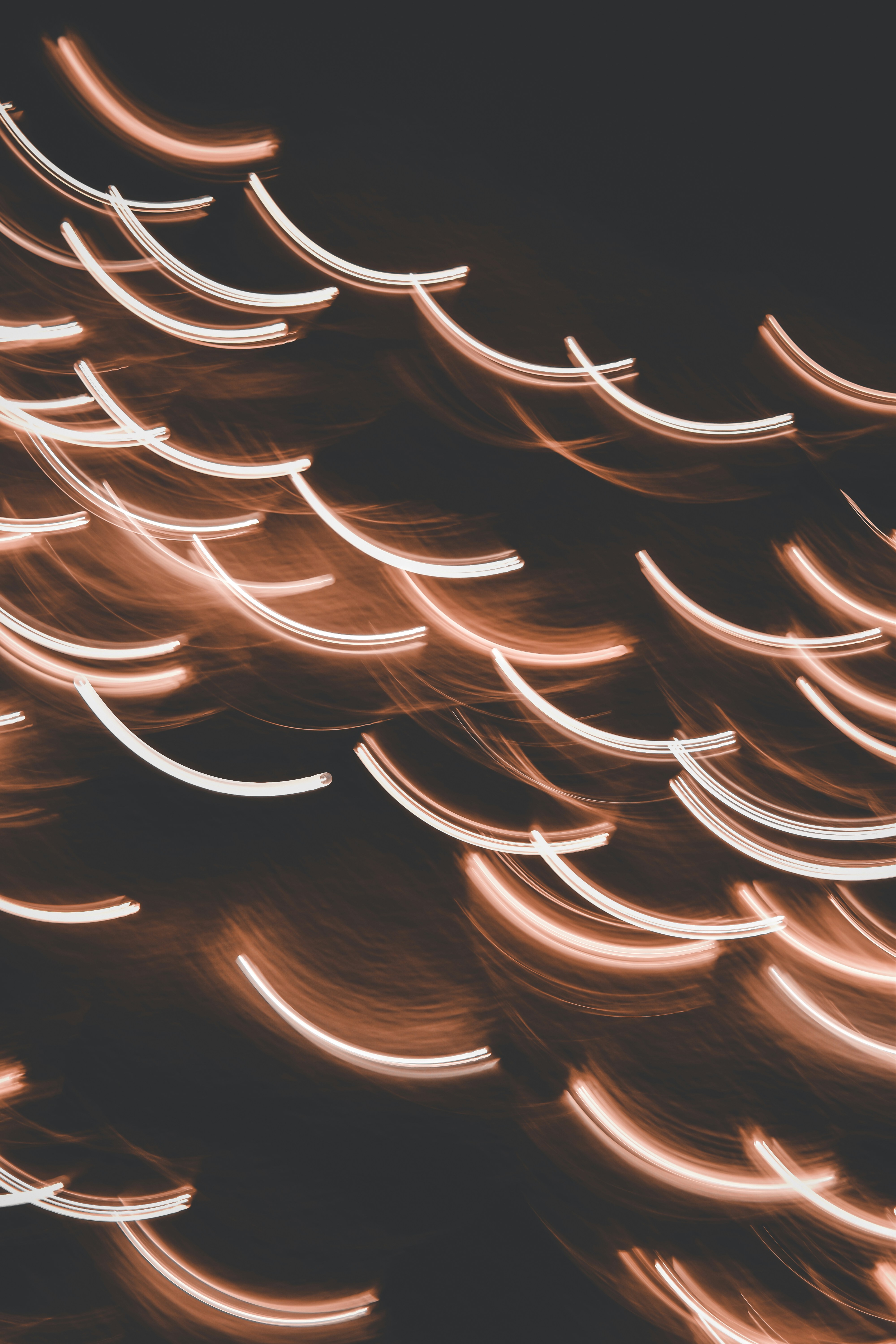 Photo by elliottmason